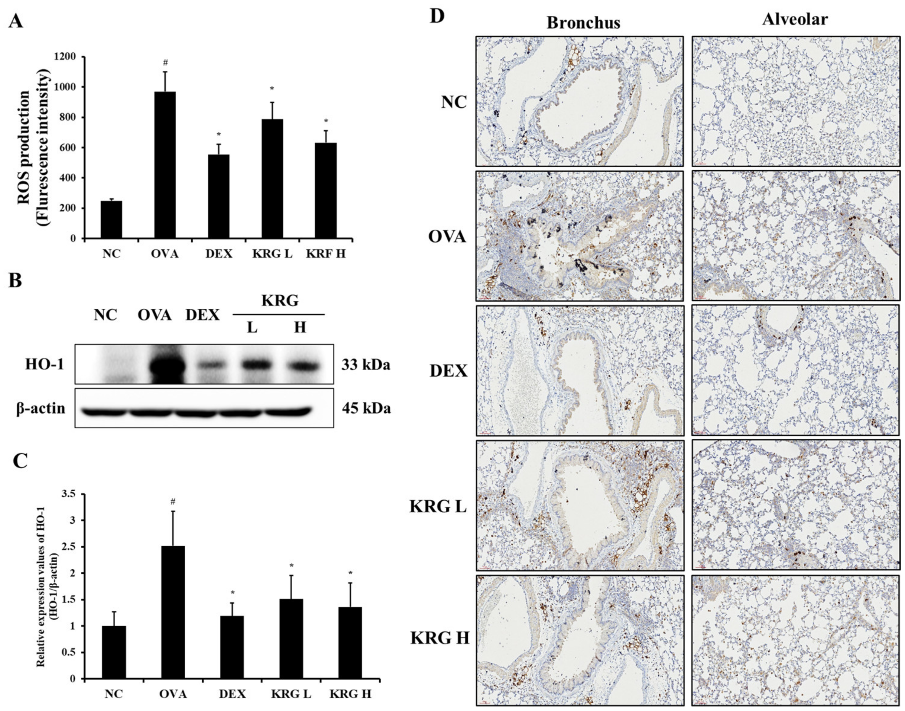 Antioxidants 11 01422 g005