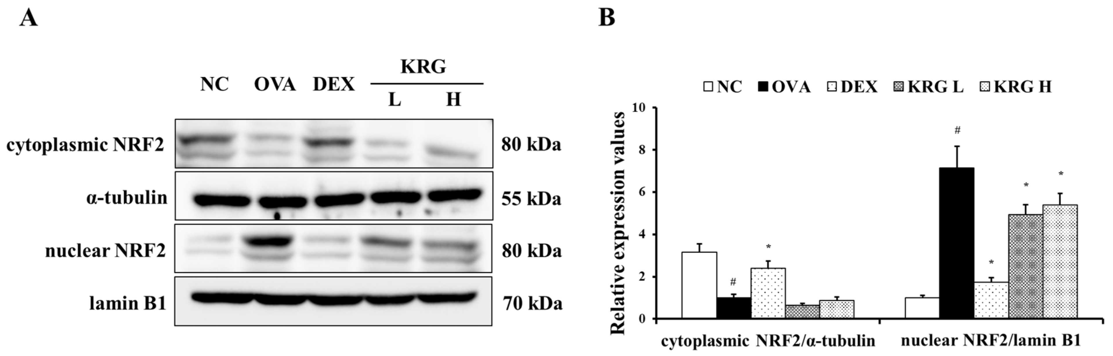 Antioxidants 11 01422 g006