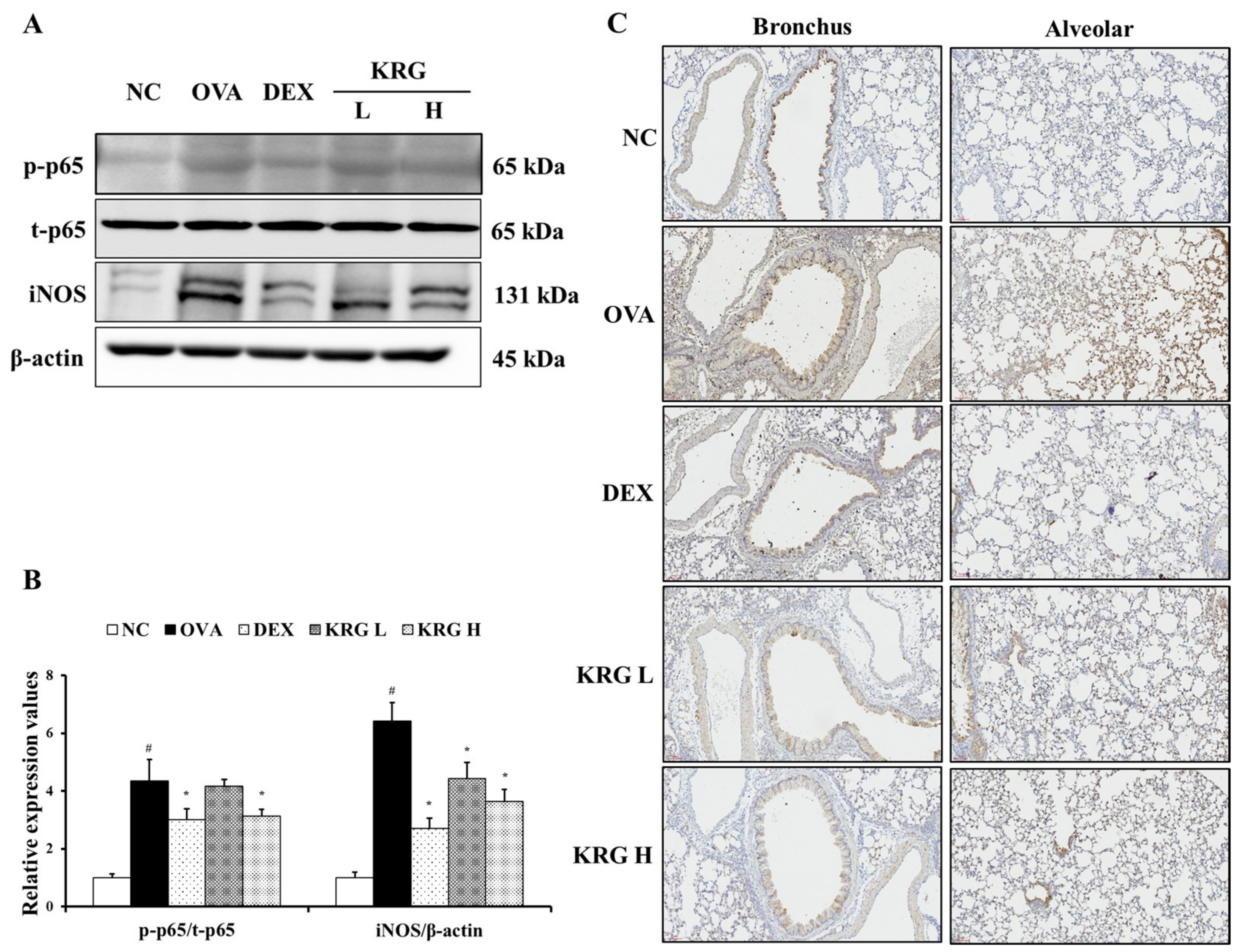 Antioxidants 11 01422 g007