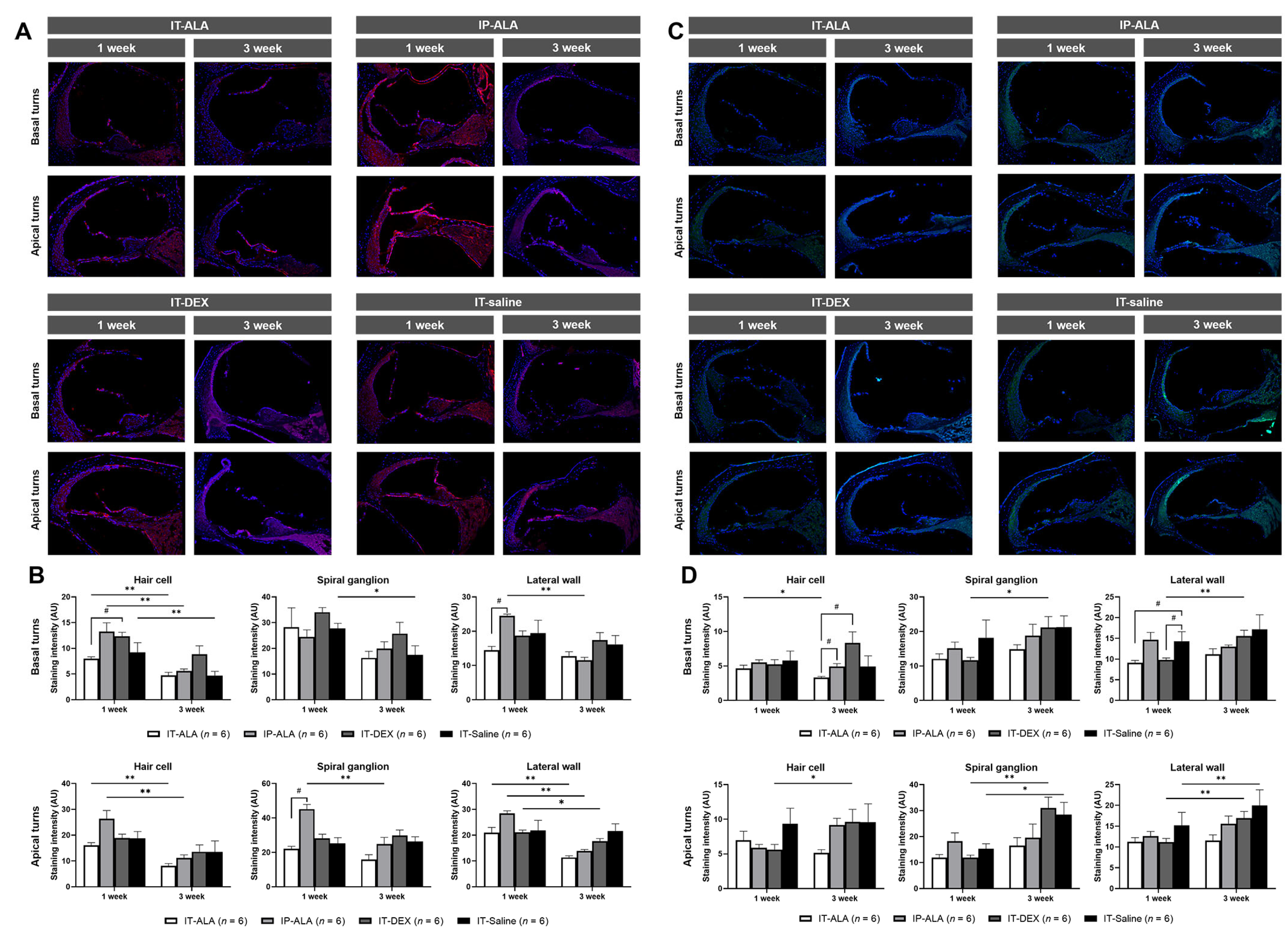 Antioxidants 11 01423 g006