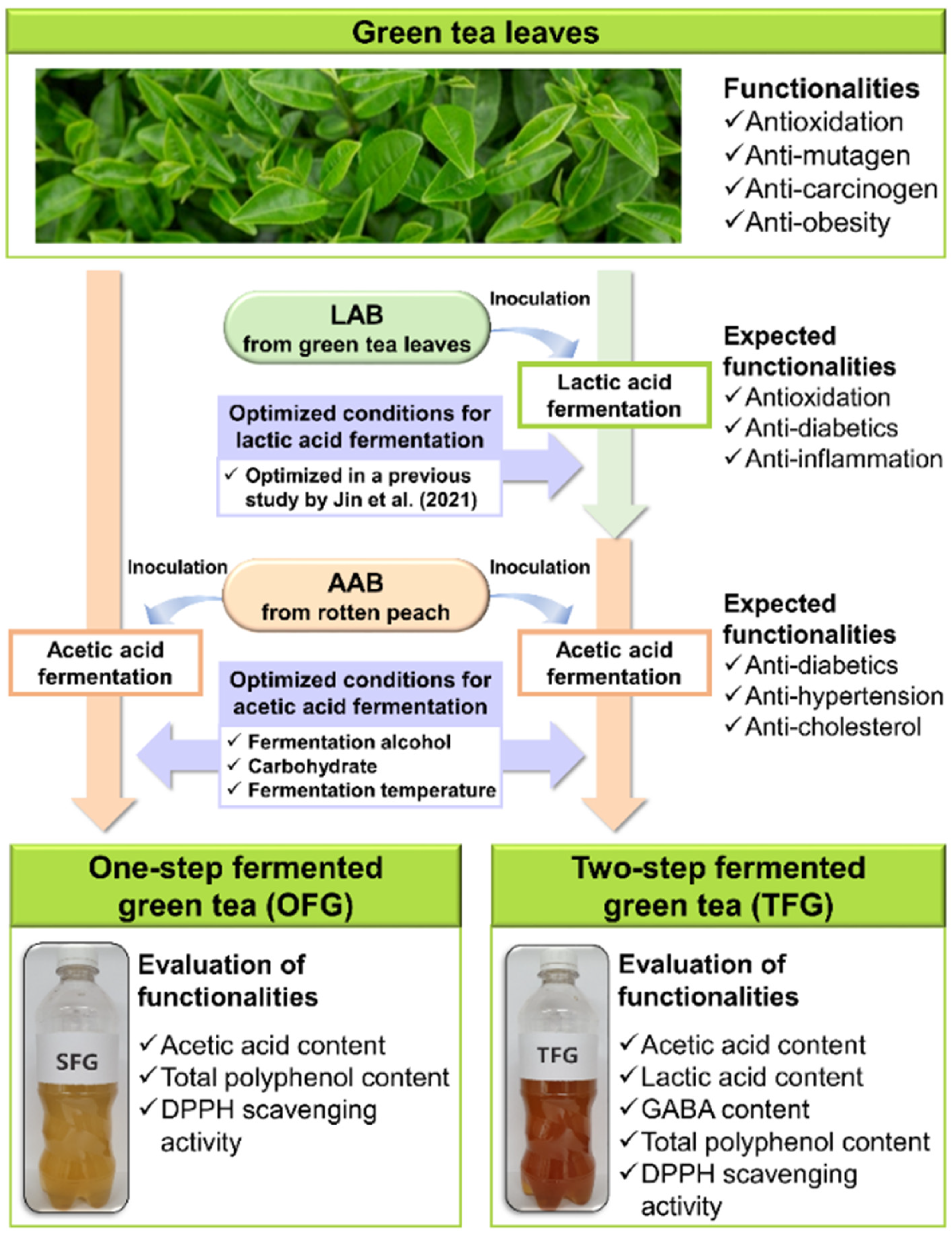 Antioxidants 11 01425 g002