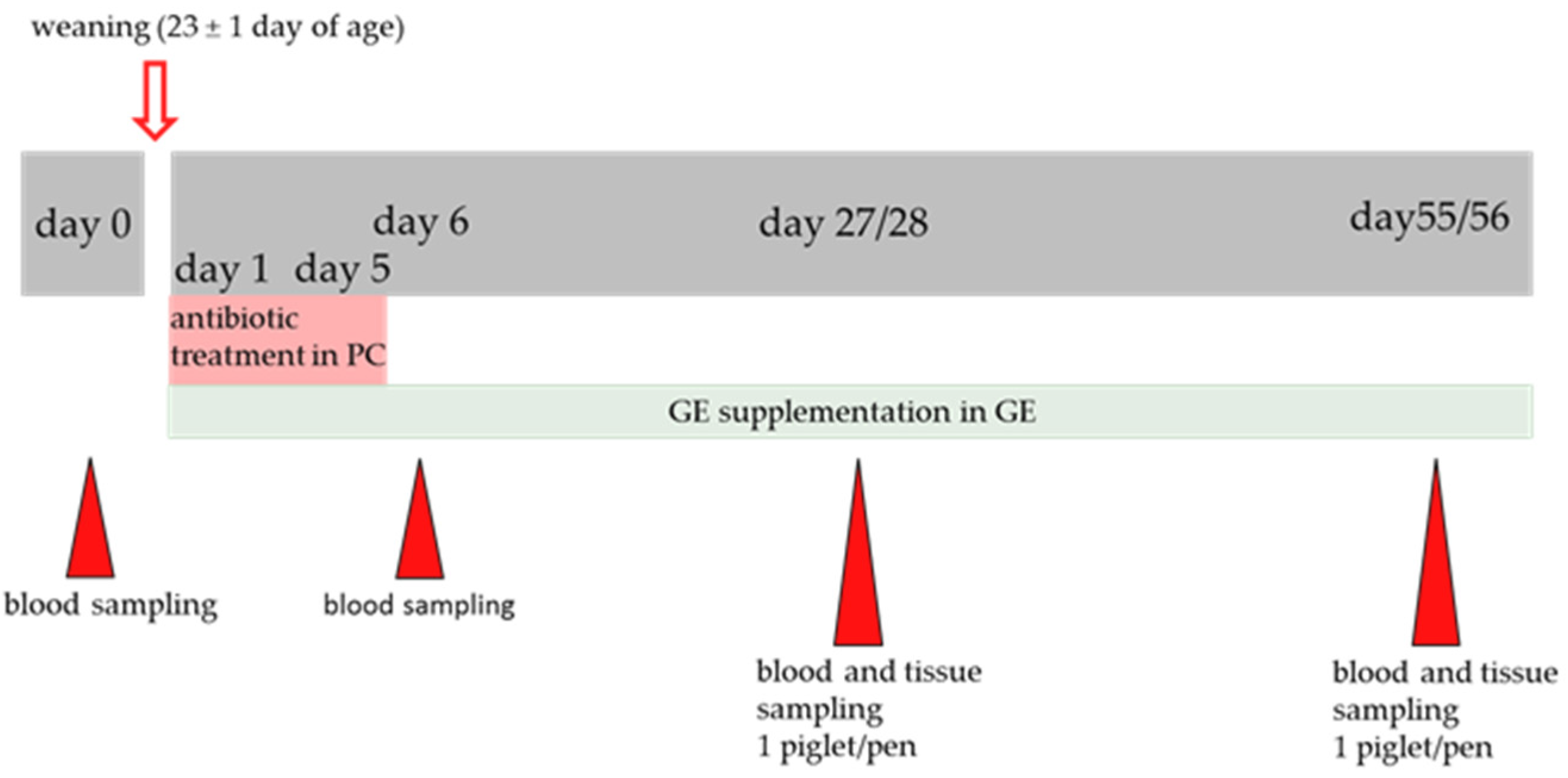 Antioxidants 11 01428 g001