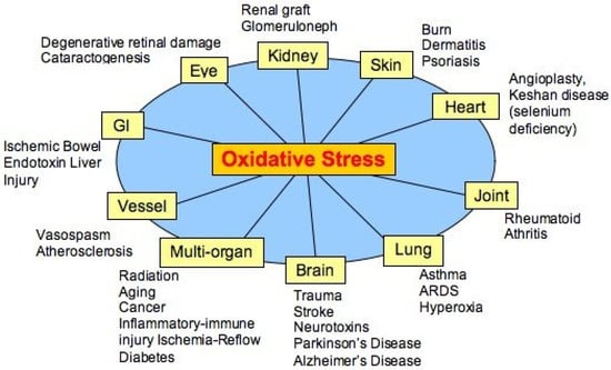 Antioxidants 11 01431 g001 Antioxidants 11 01431 g001