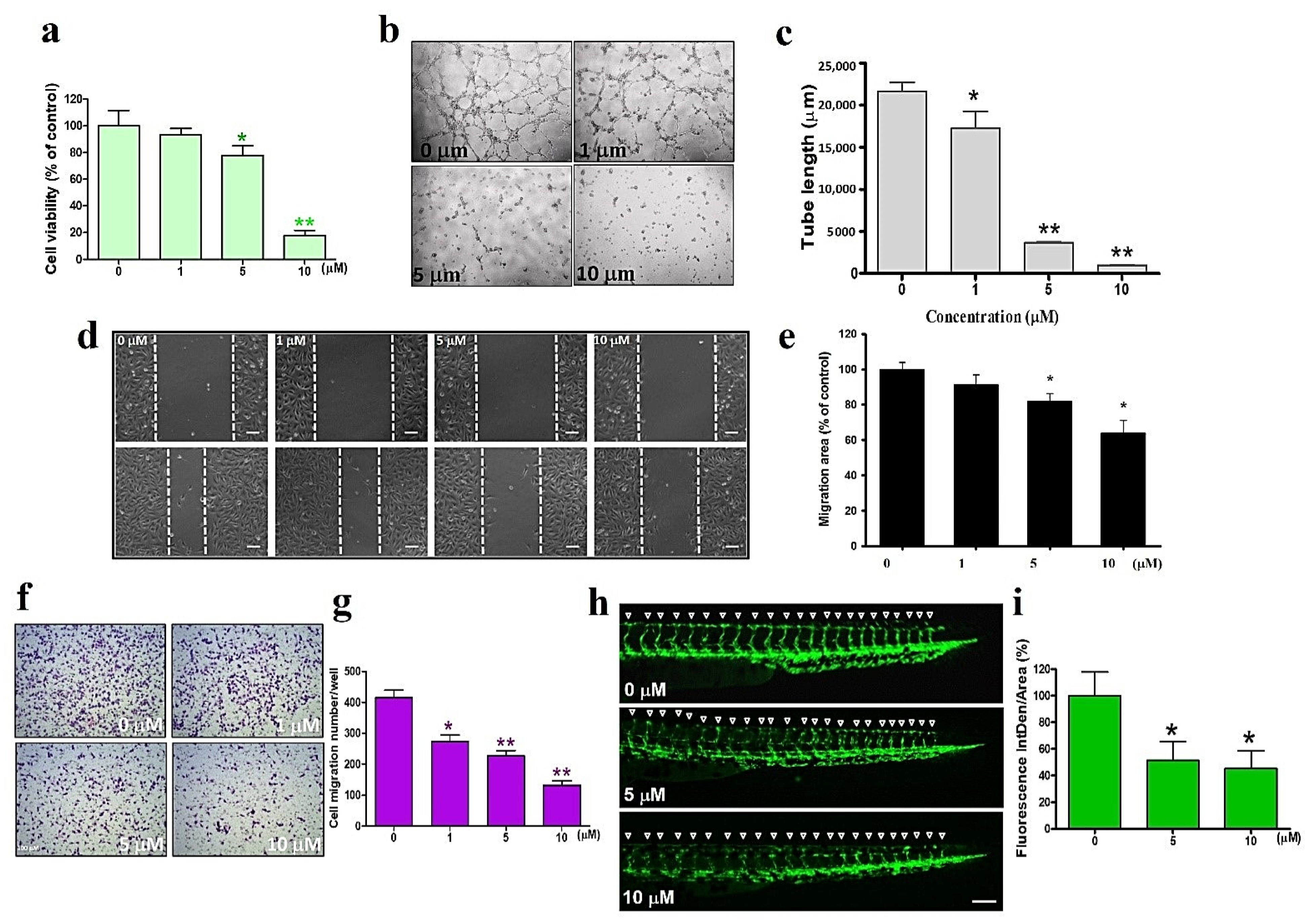 Antioxidants 11 01433 g005