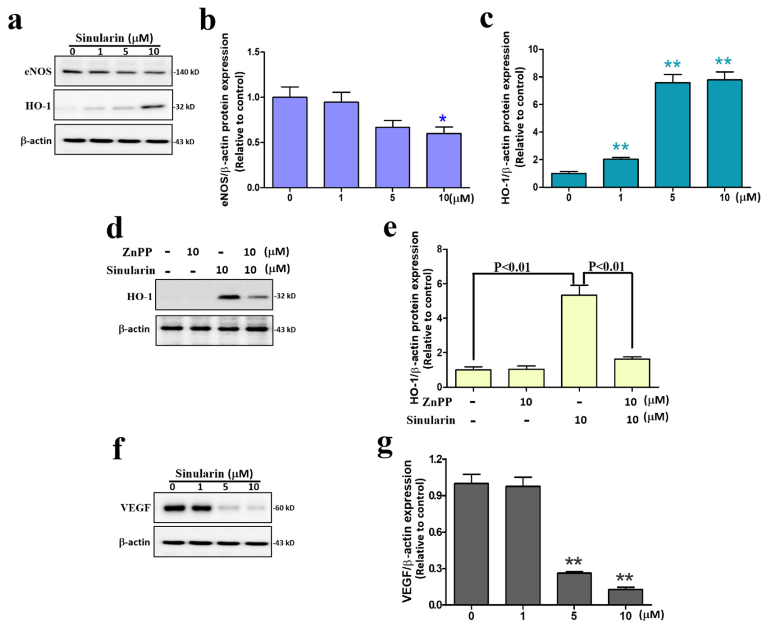 Antioxidants 11 01433 g006