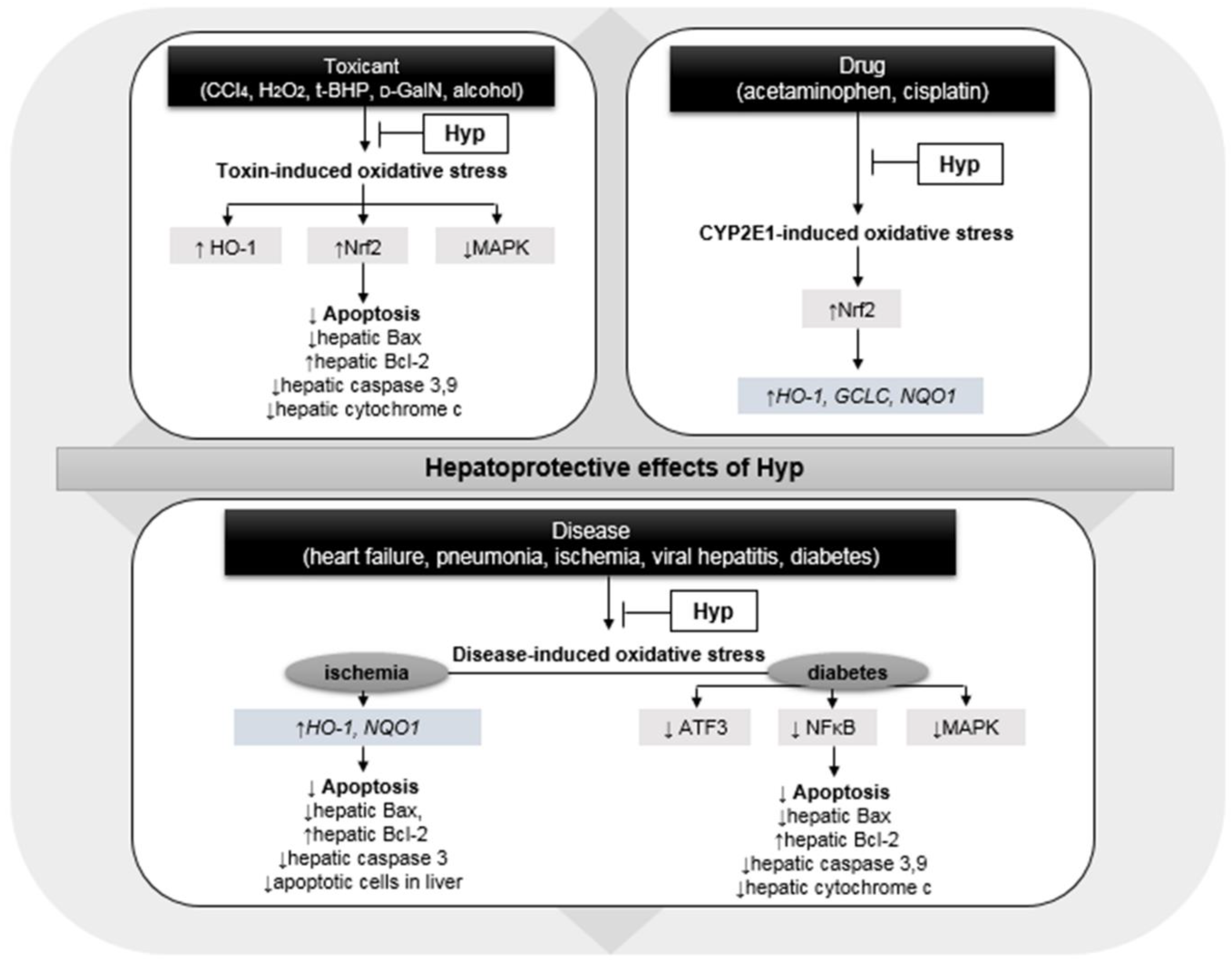 Antioxidants 11 01437 g002
