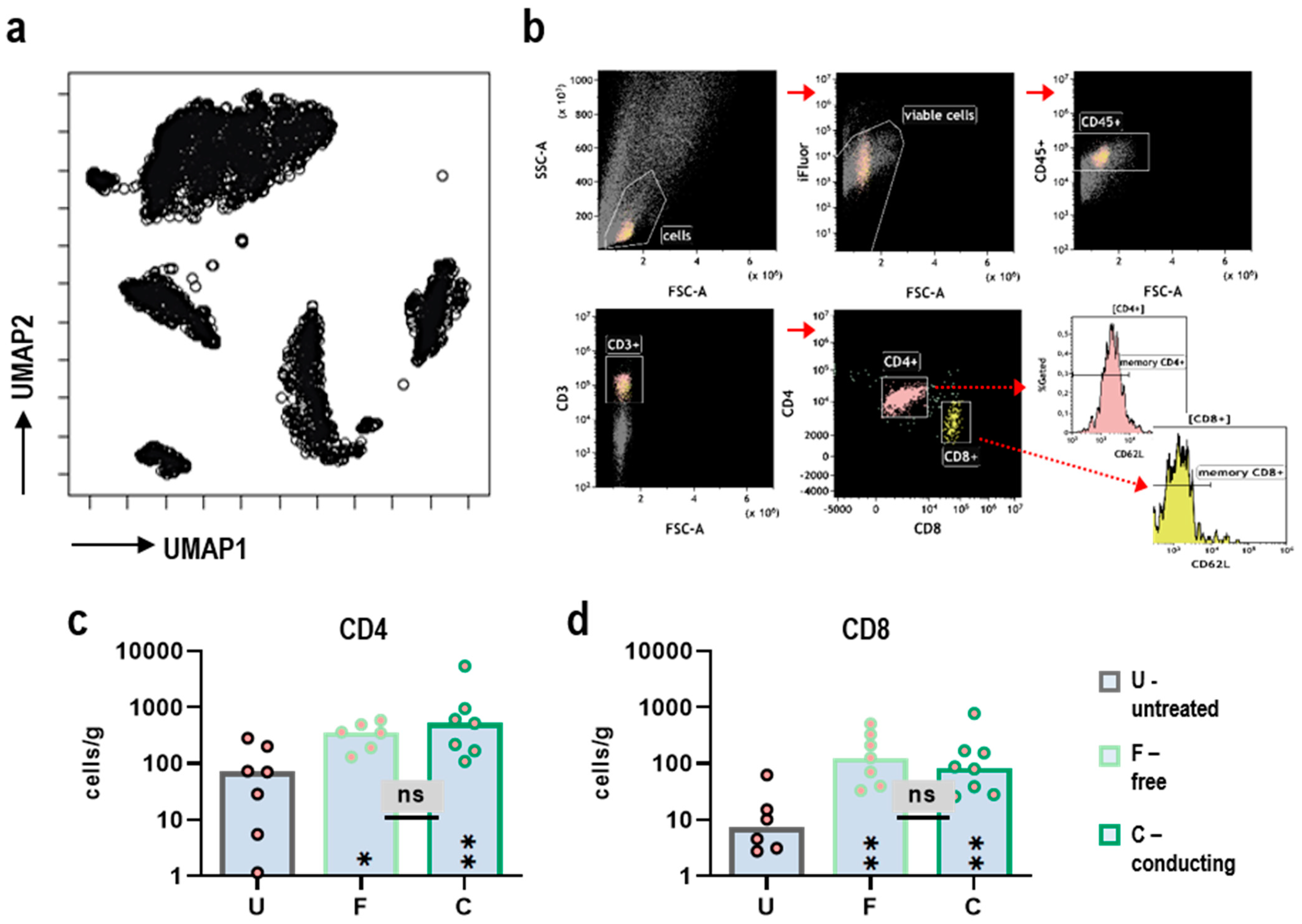Antioxidants 11 01439 g003