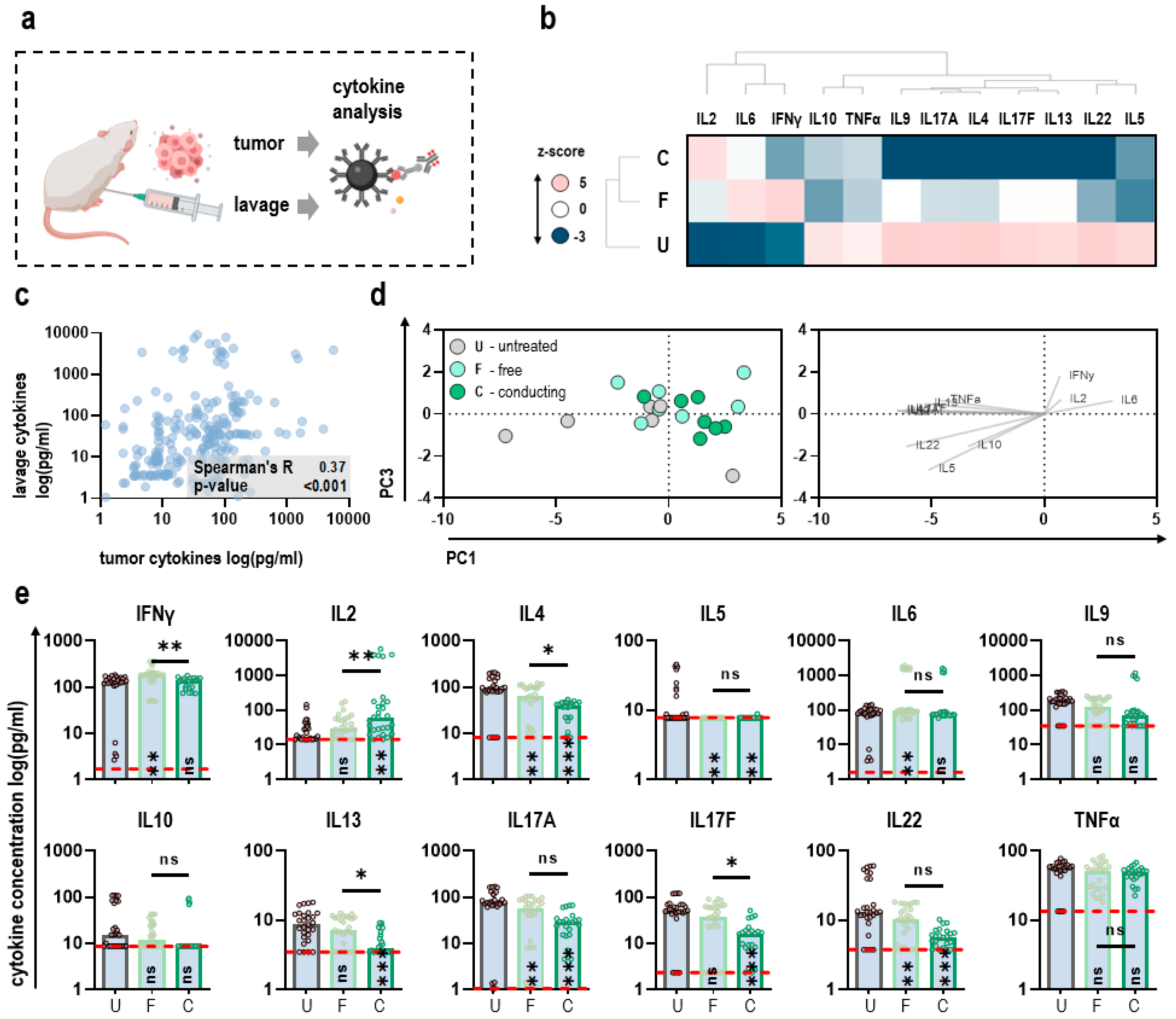 Antioxidants 11 01439 g004