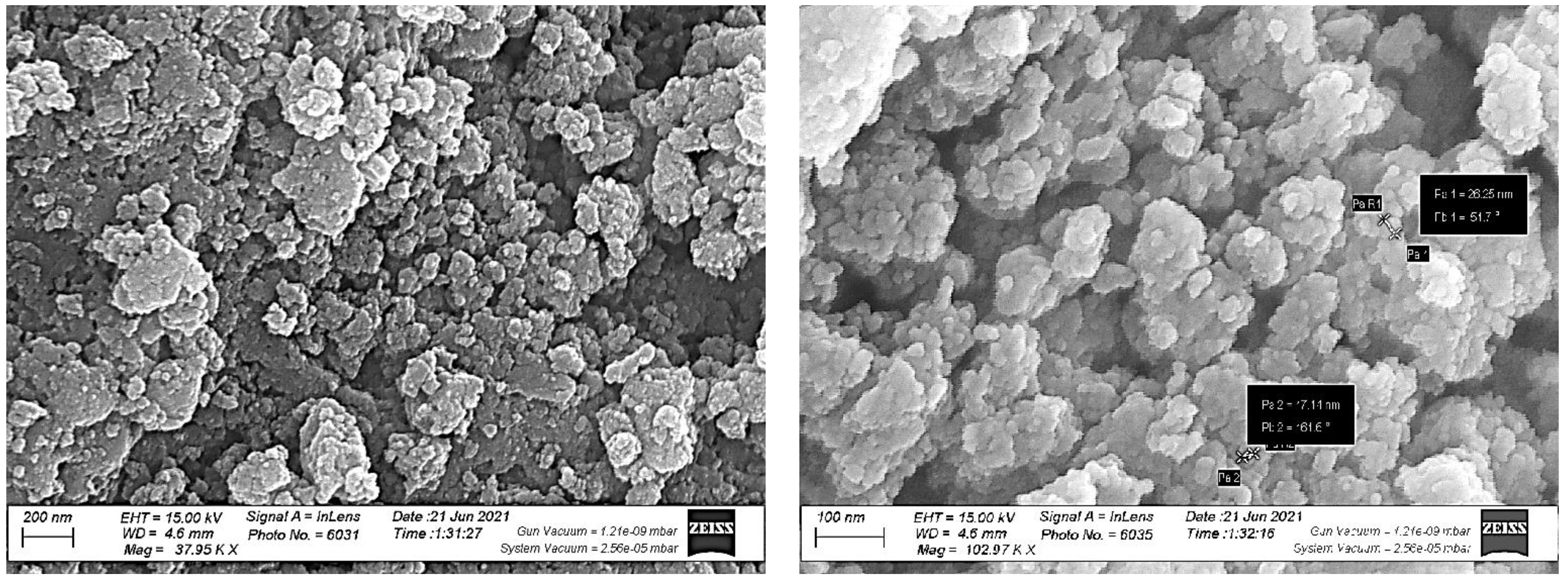 Antioxidants 11 01444 g009b Antioxidants 11 01444 g009b