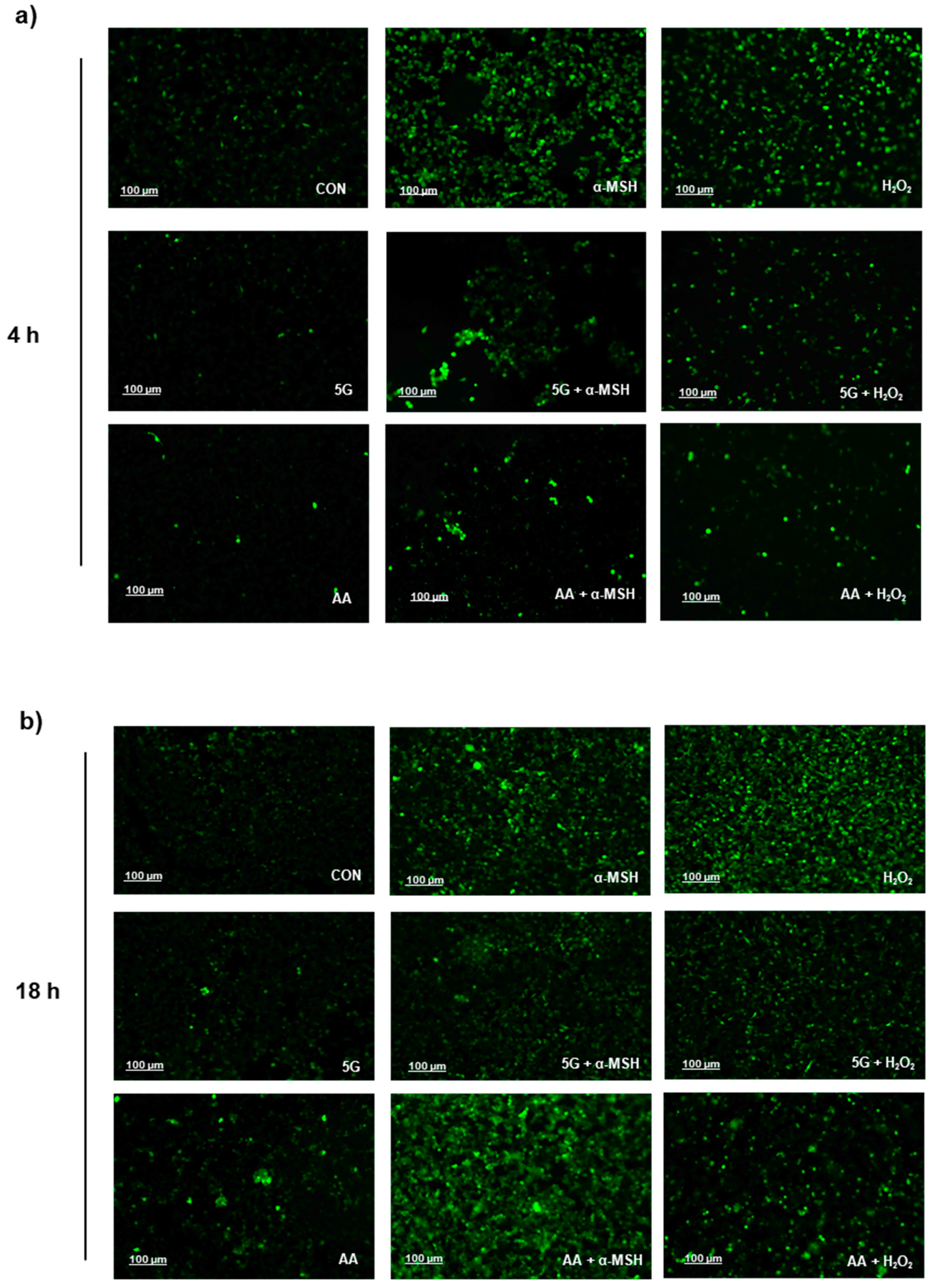 Antioxidants 11 01449 g005
