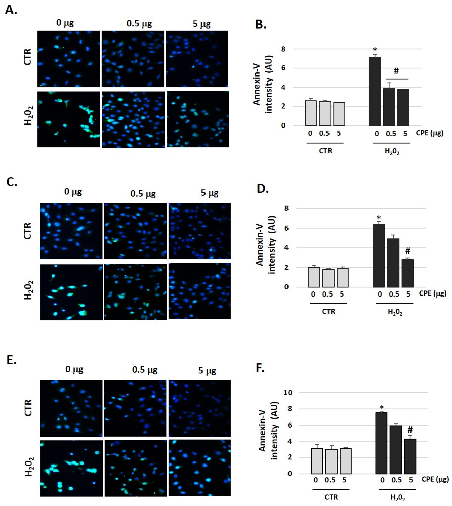 Antioxidants 11 01450 g008