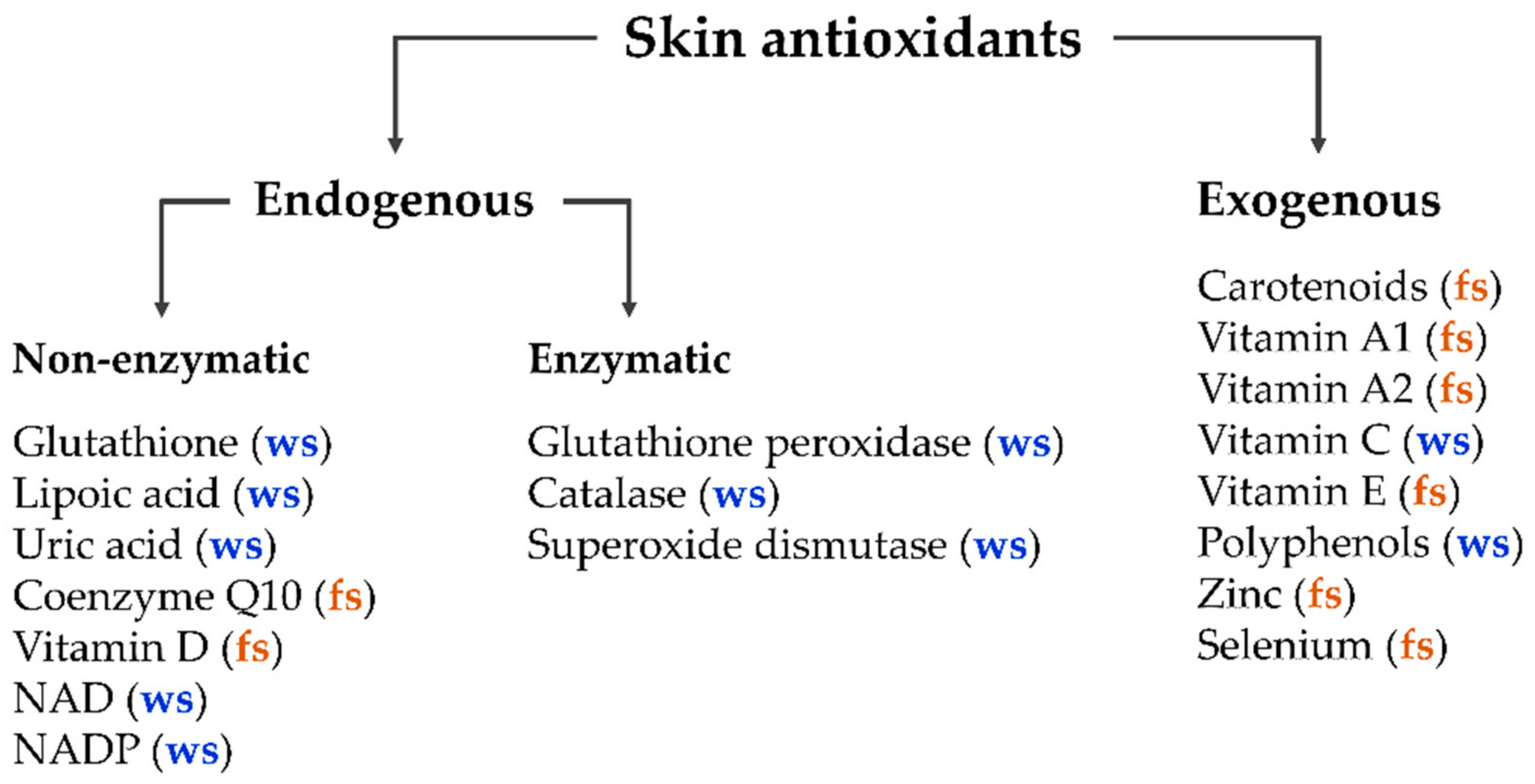 Antioxidants 11 01451 g001