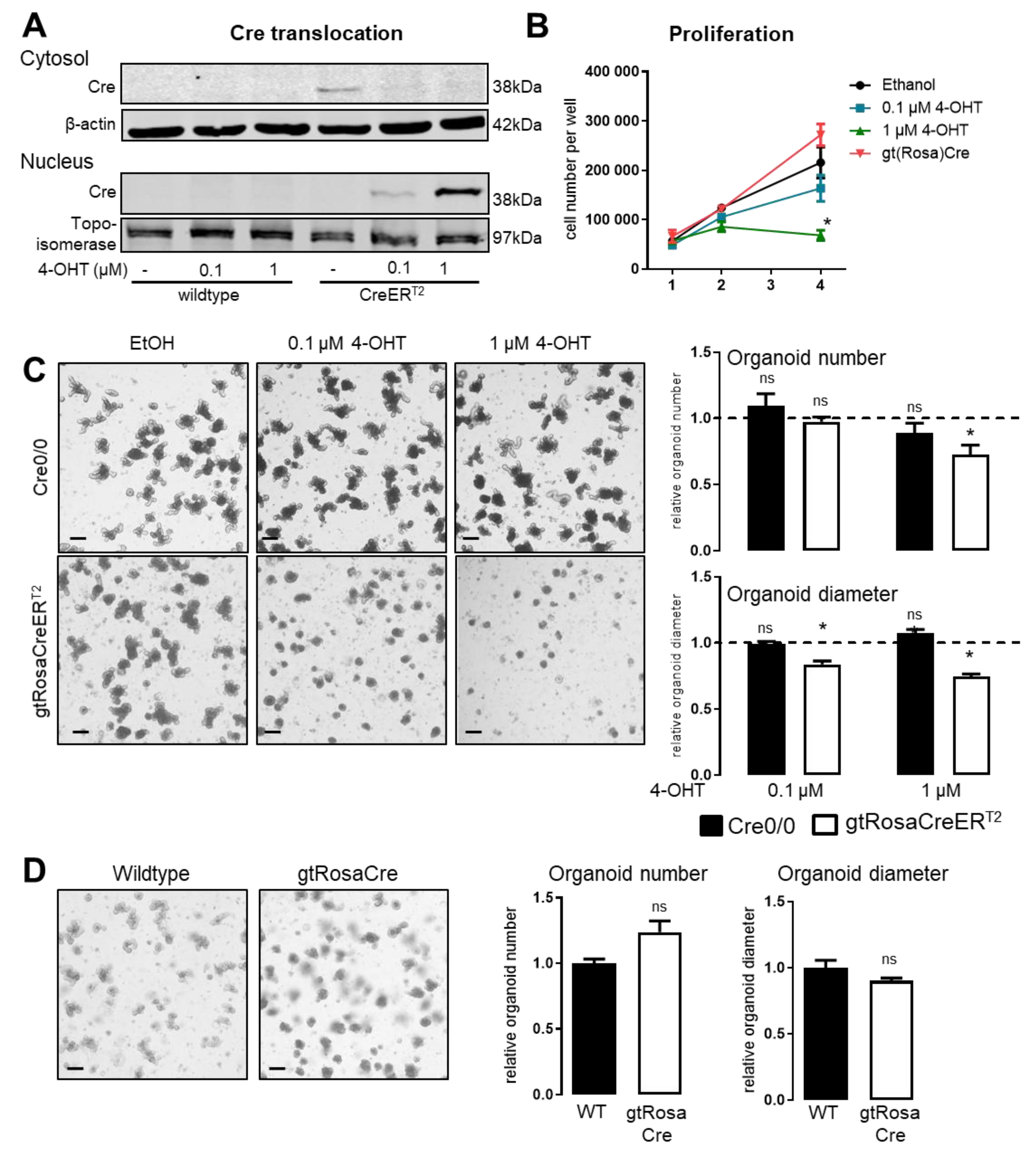 Antioxidants 11 01452 g001