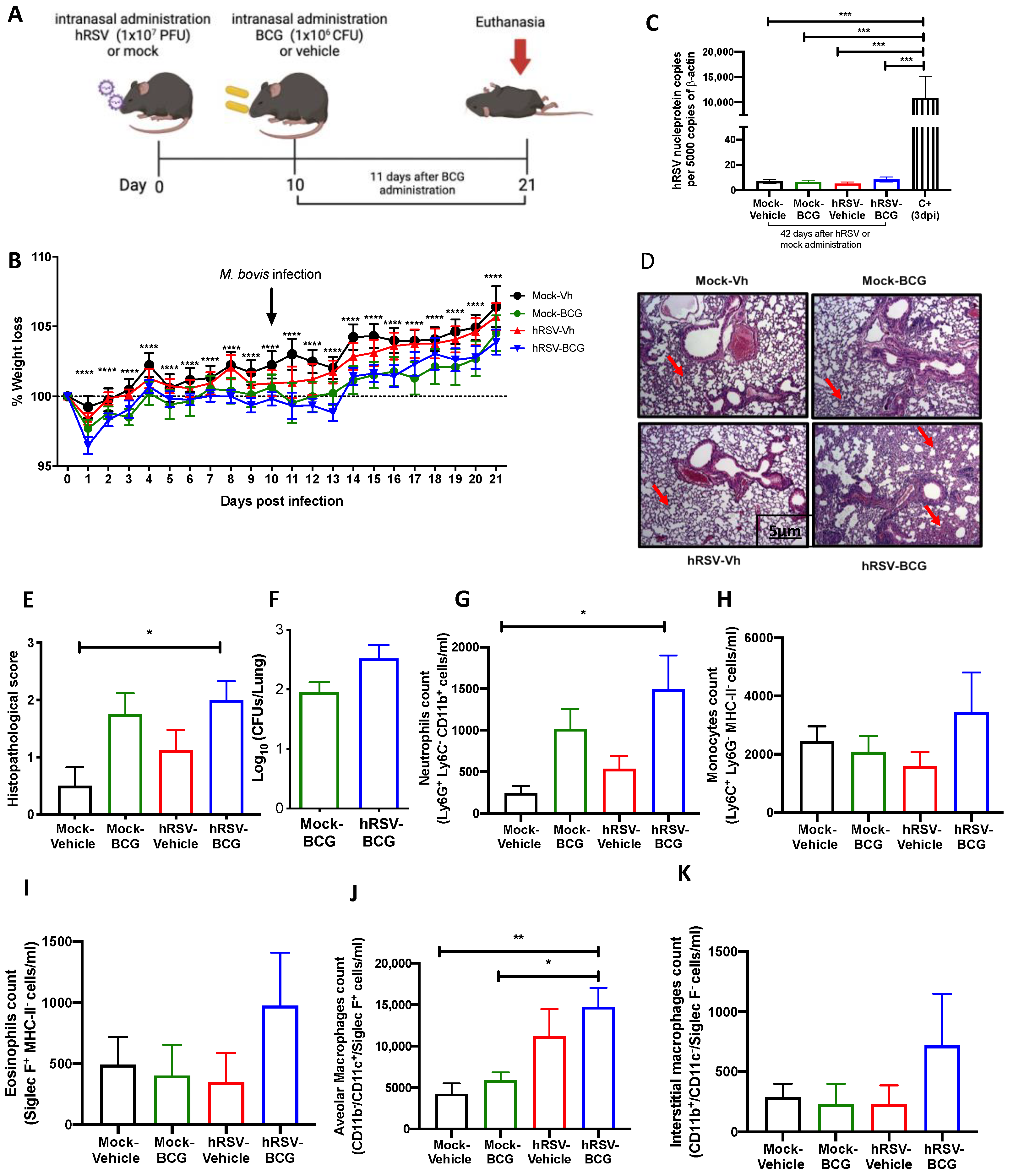 Antioxidants 11 01453 g002