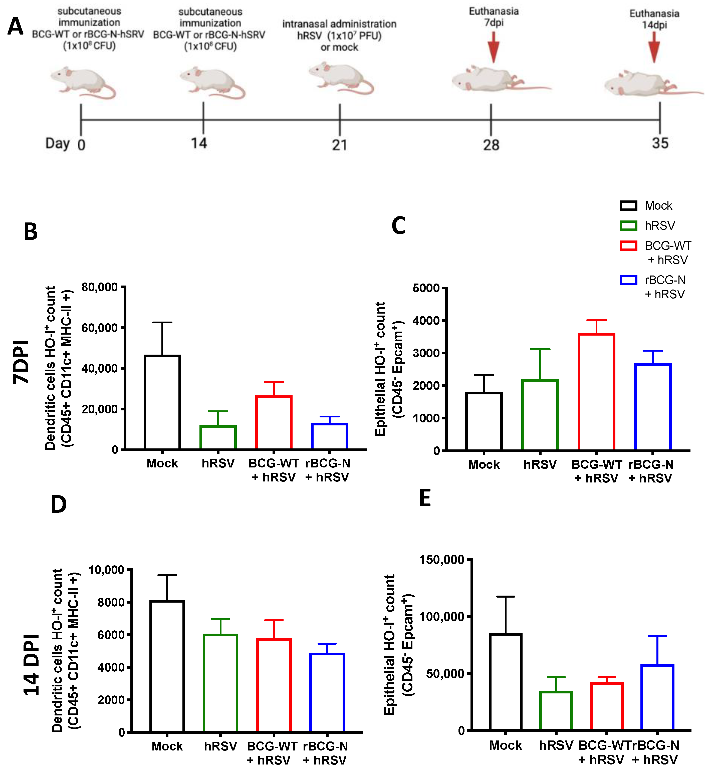 Antioxidants 11 01453 g005