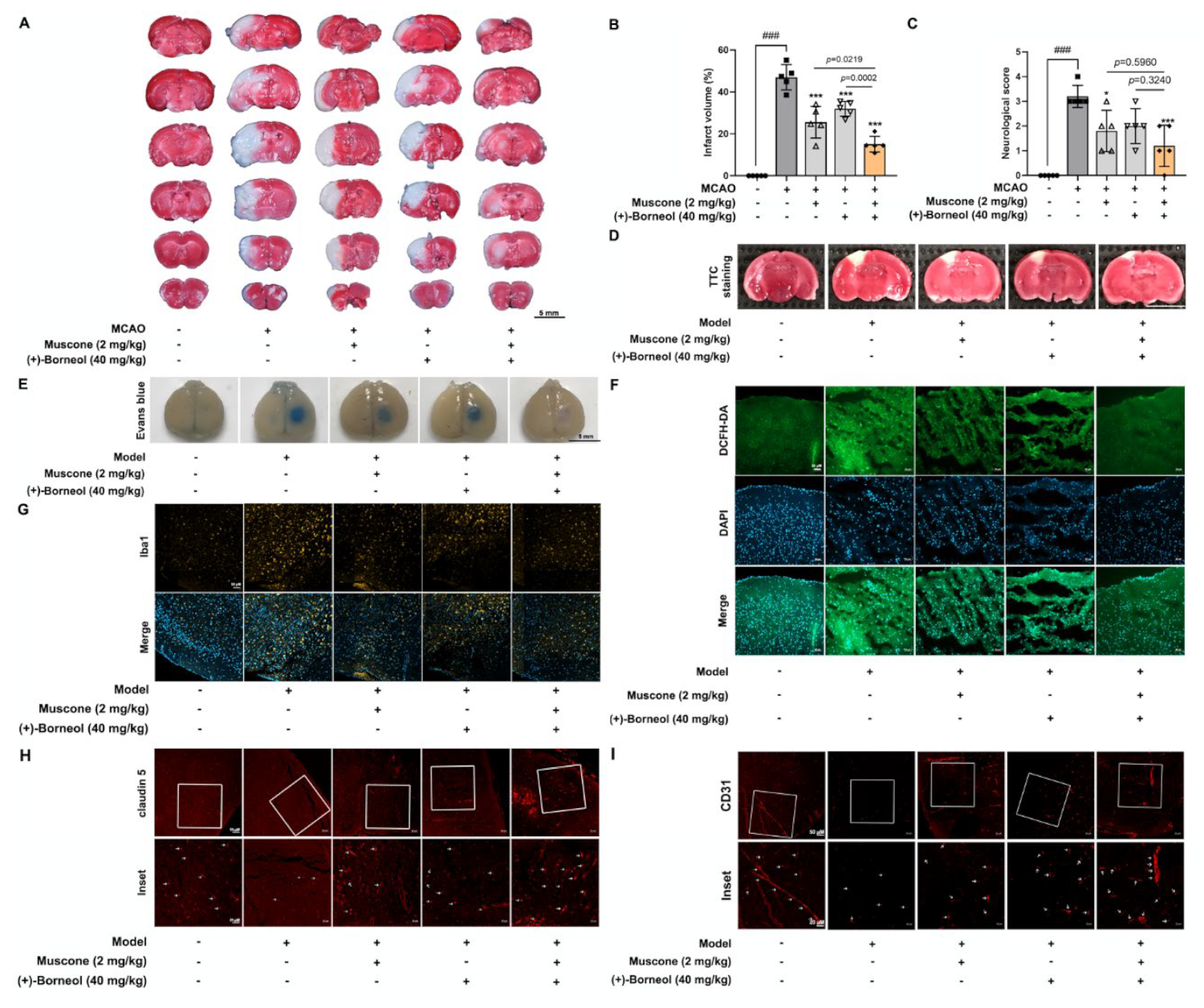 Antioxidants 11 01455 g001