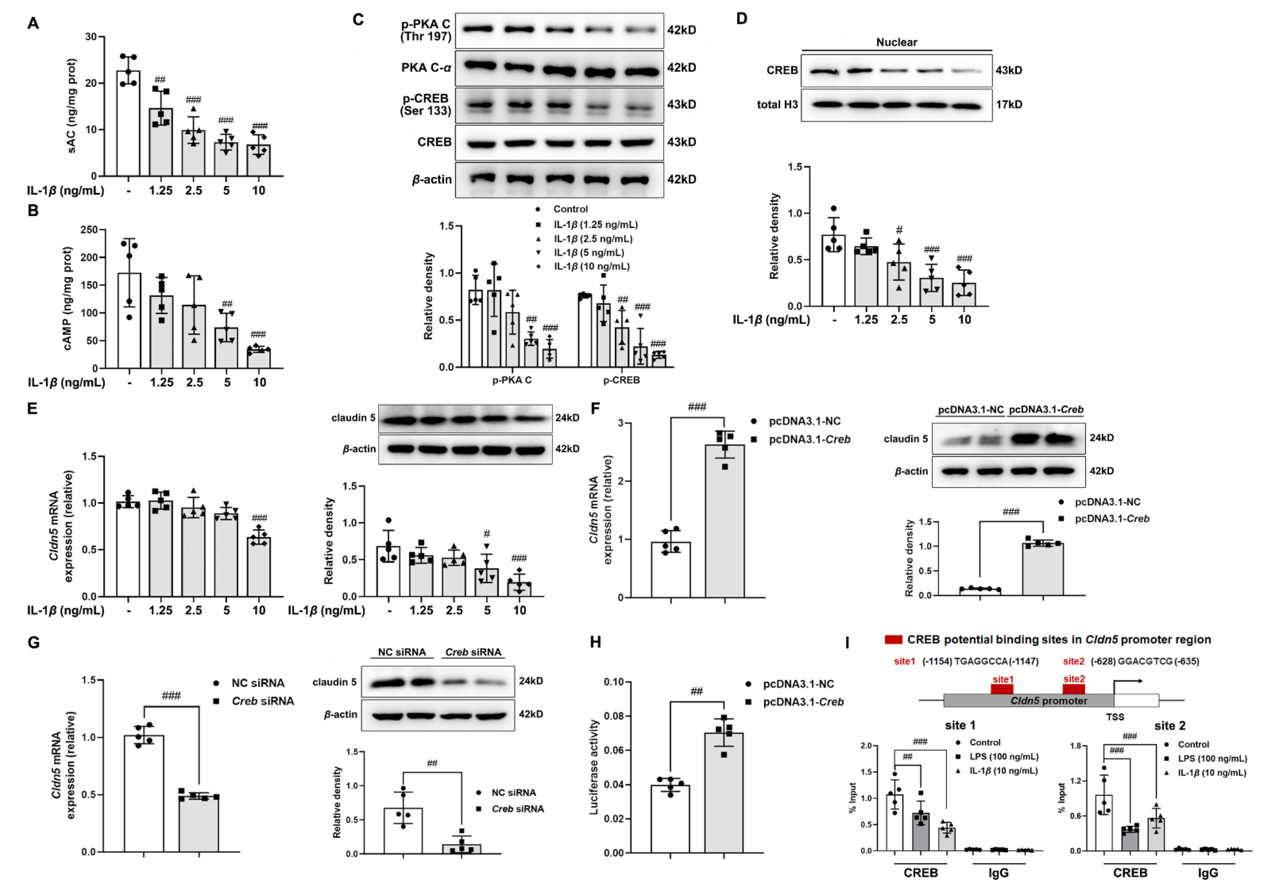 Antioxidants 11 01455 g003
