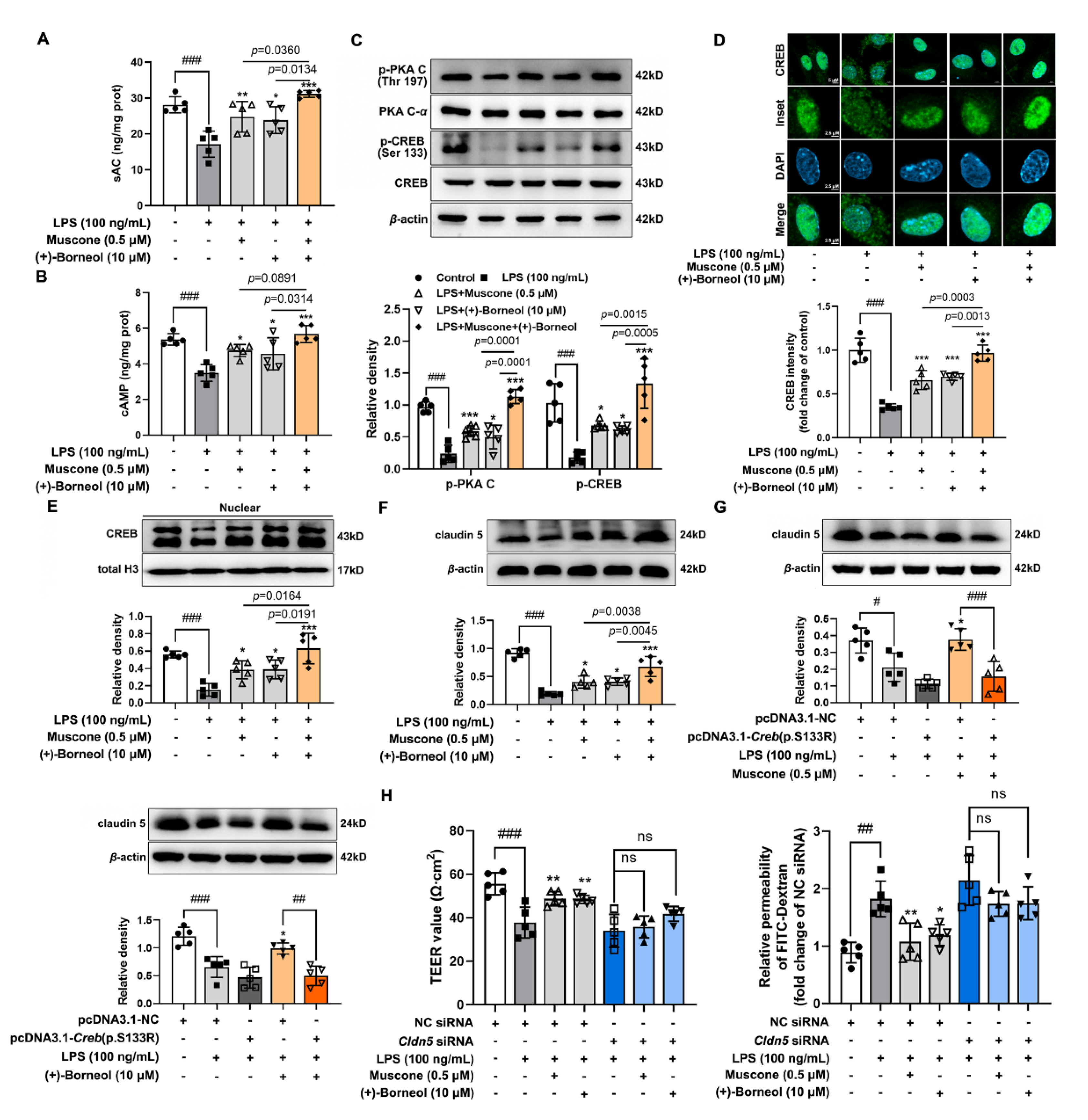 Antioxidants 11 01455 g004