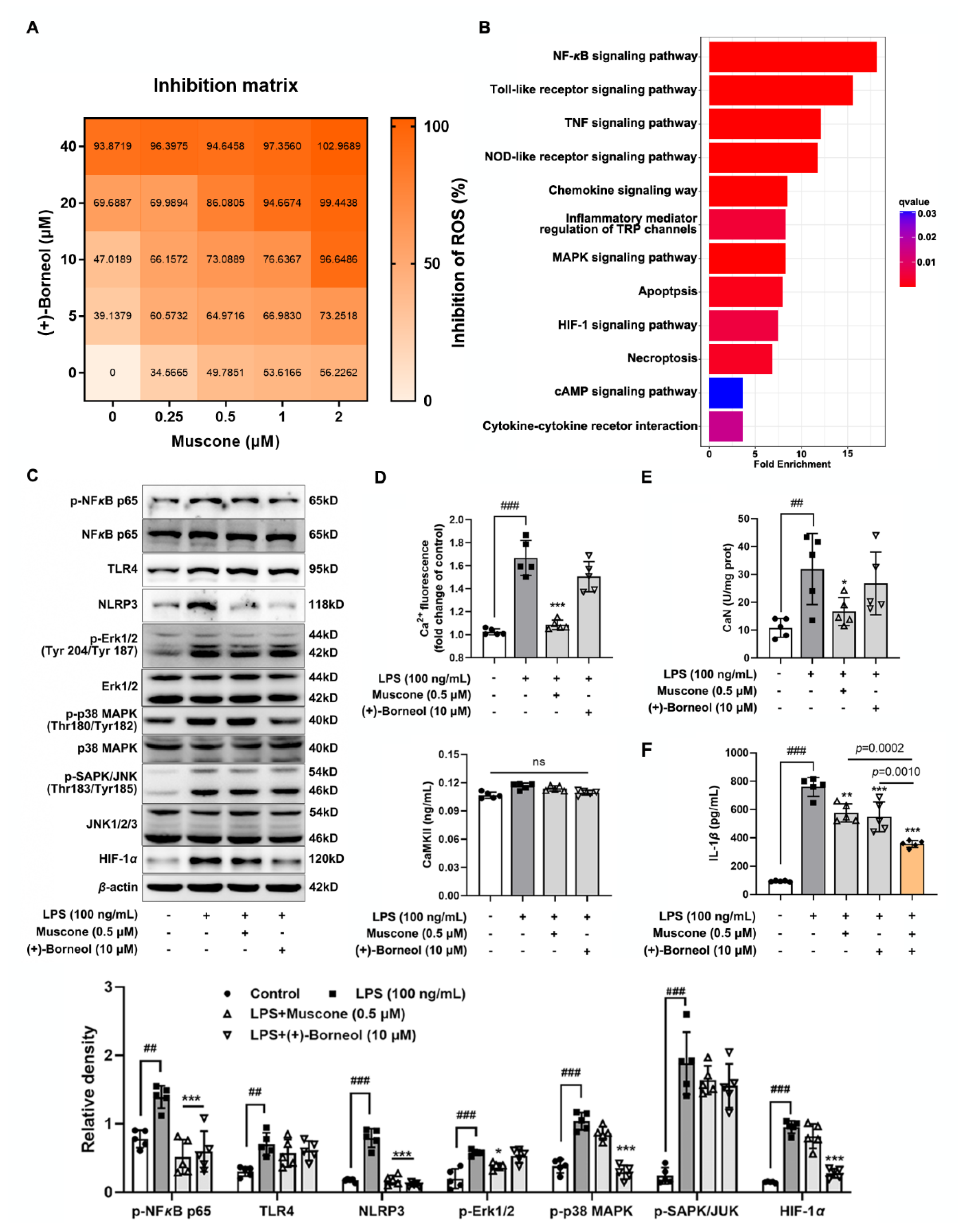Antioxidants 11 01455 g005