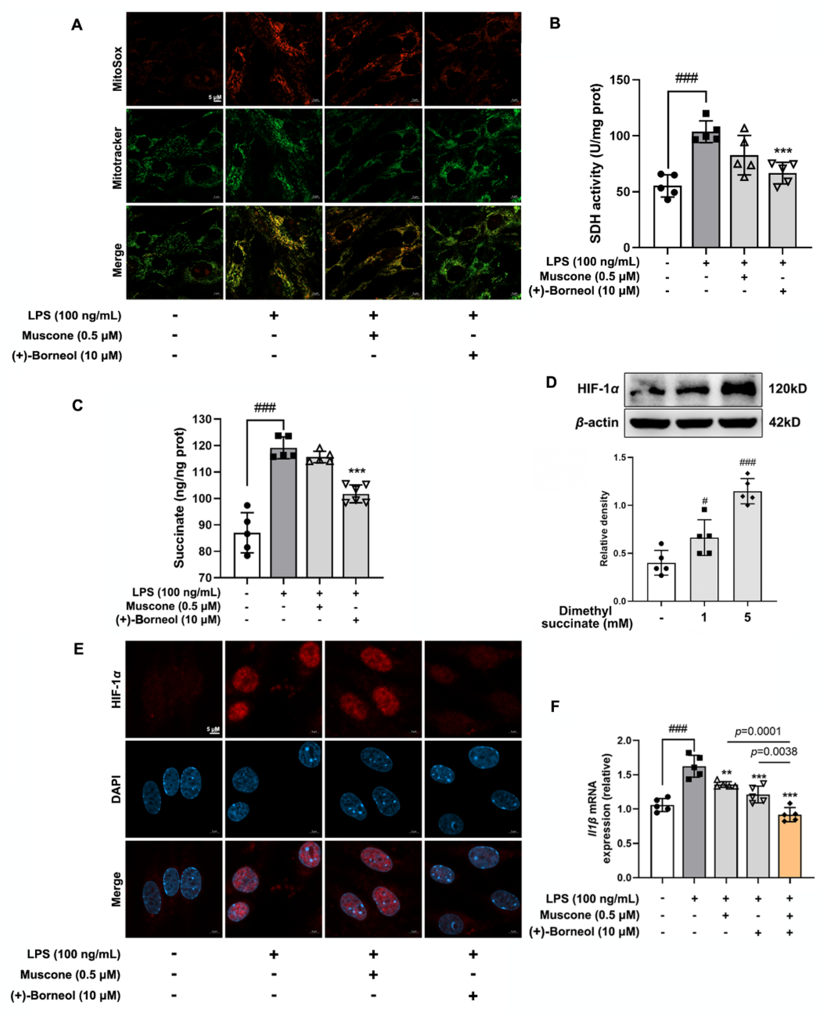 Antioxidants 11 01455 g006