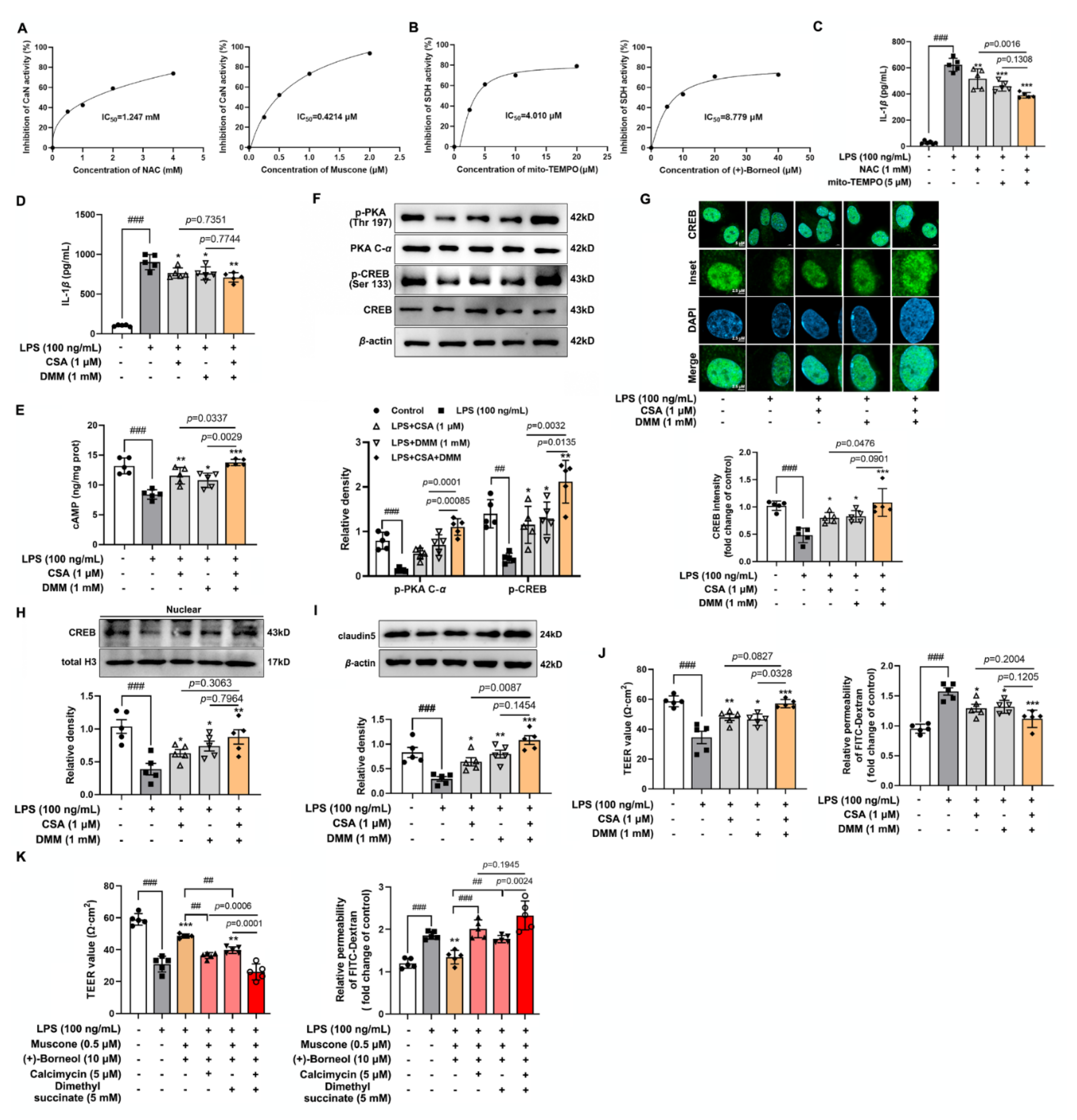 Antioxidants 11 01455 g007