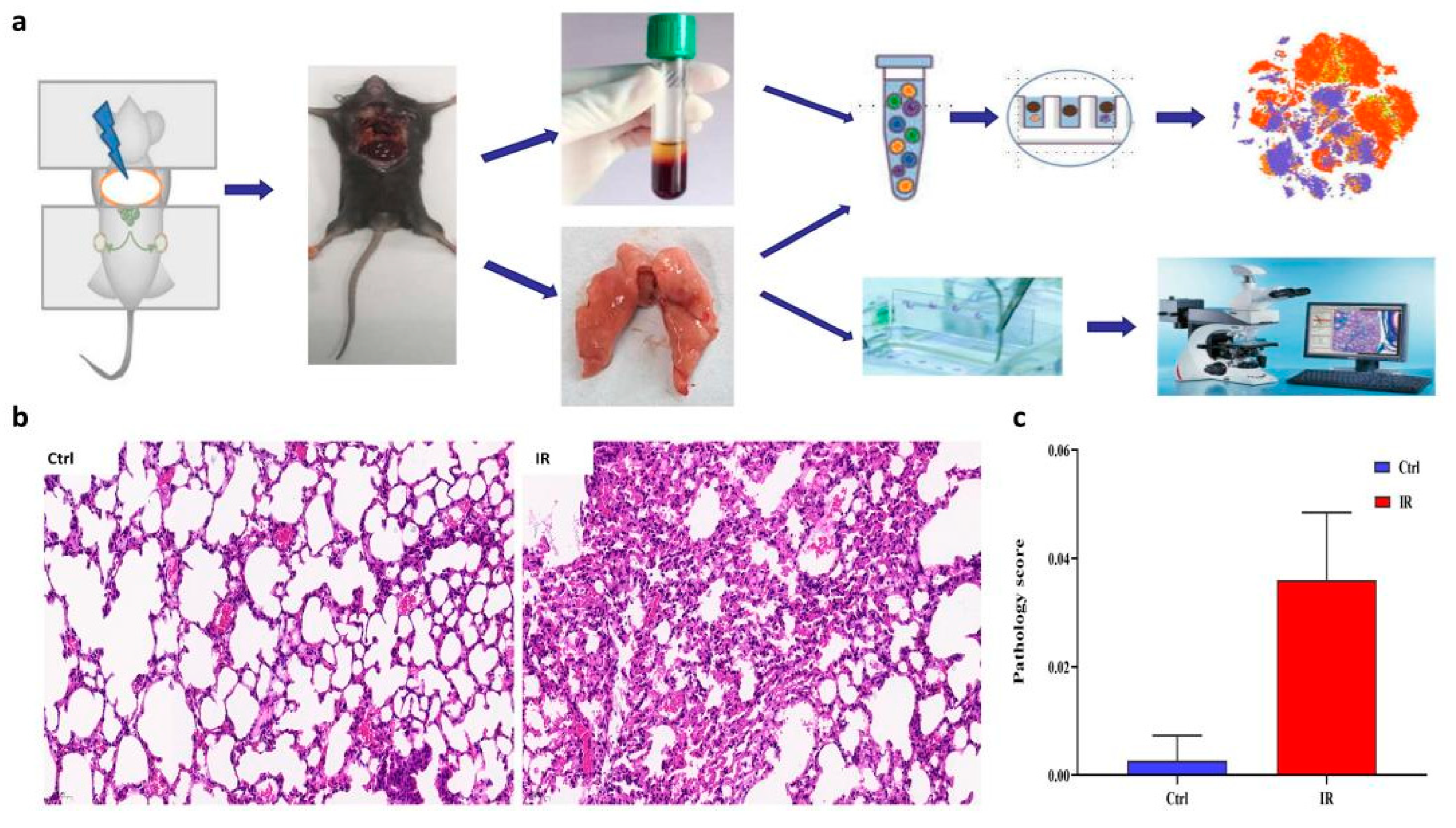 Antioxidants 11 01457 g001