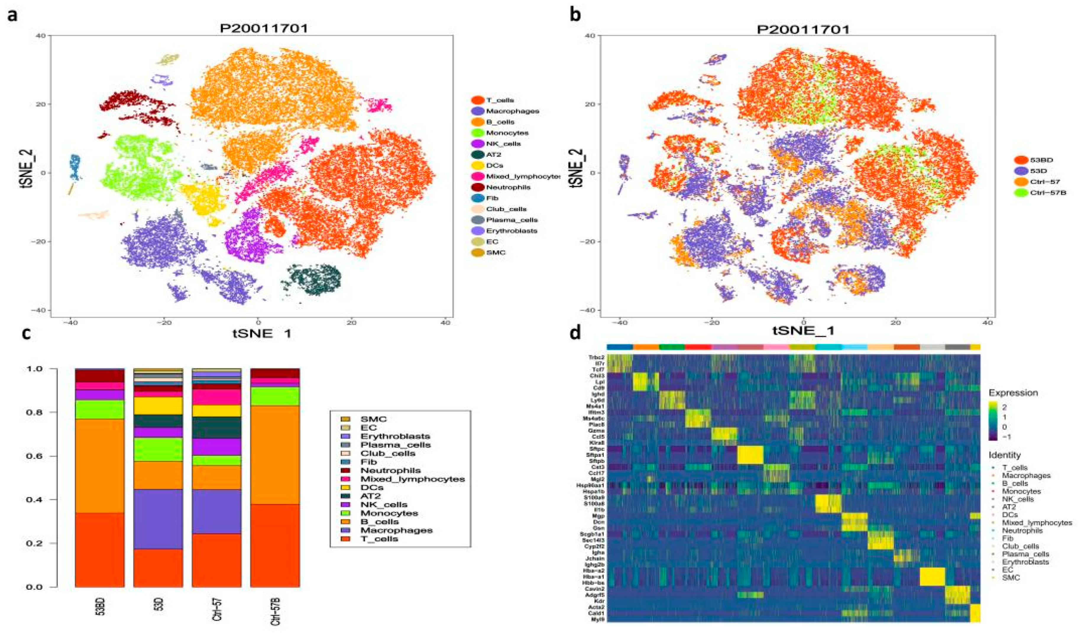 Antioxidants 11 01457 g002