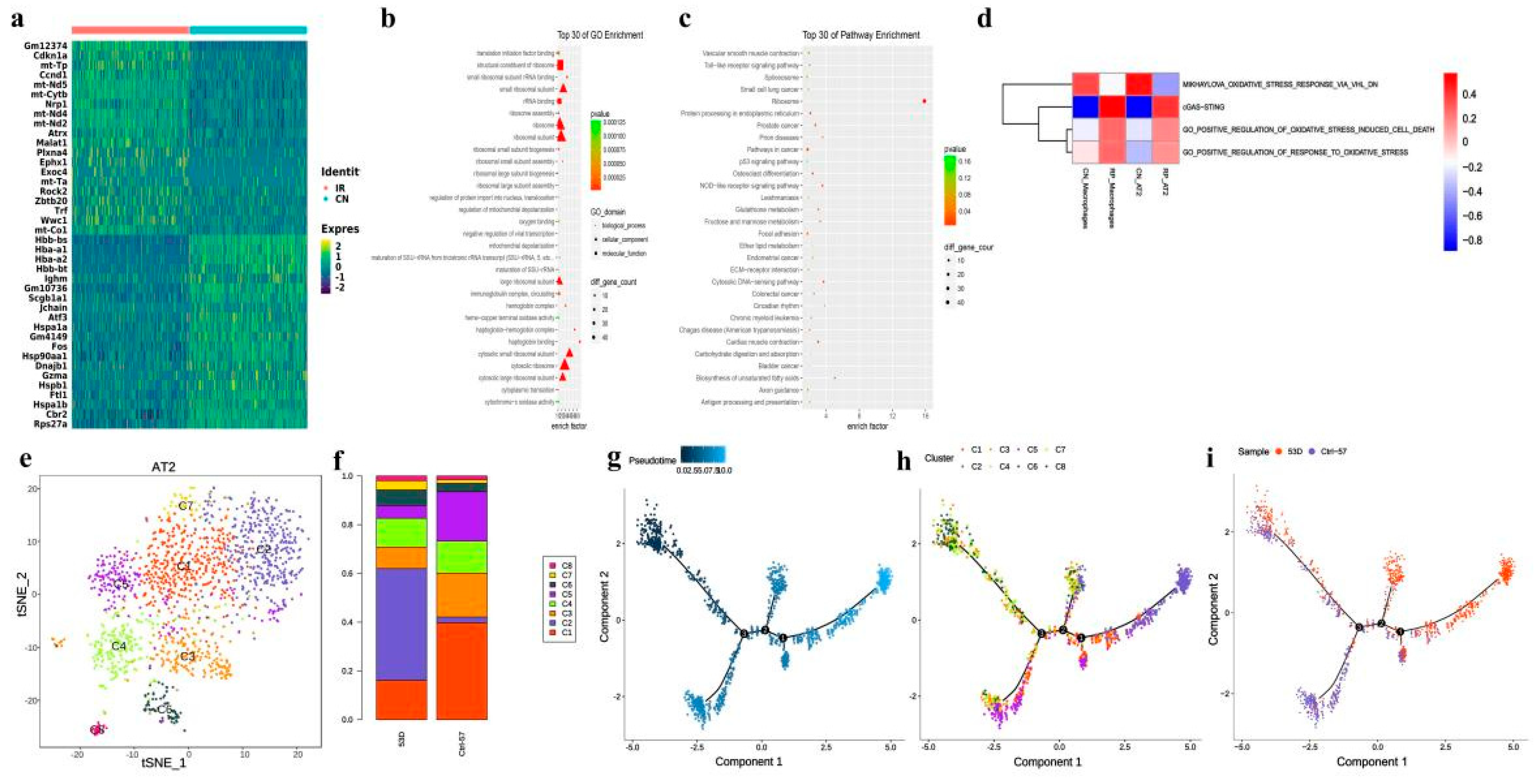 Antioxidants 11 01457 g003
