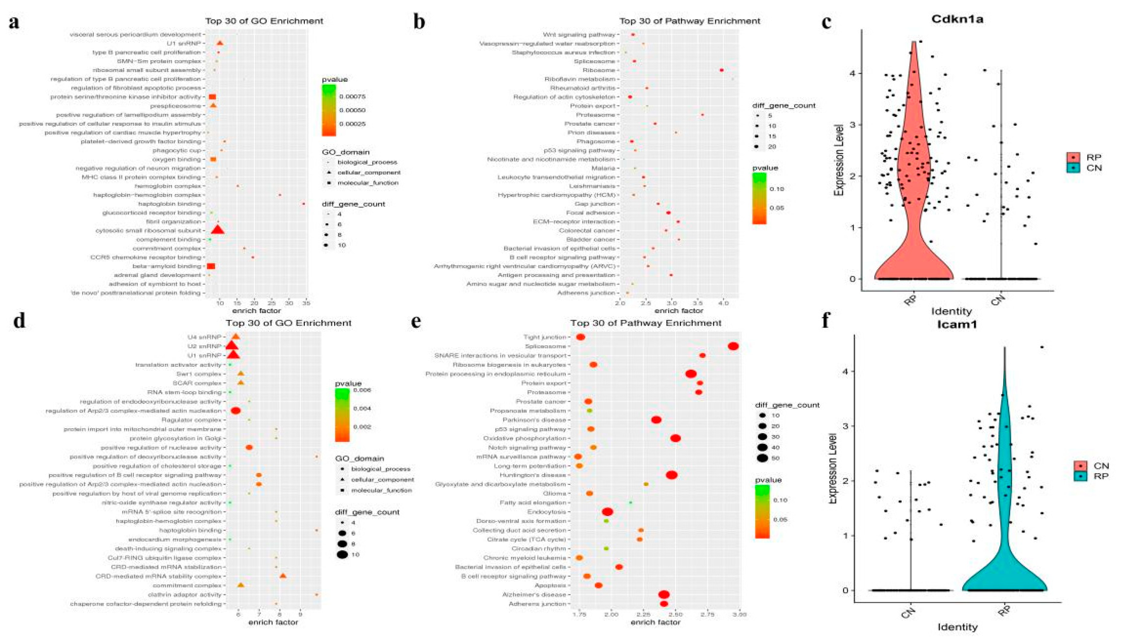 Antioxidants 11 01457 g004