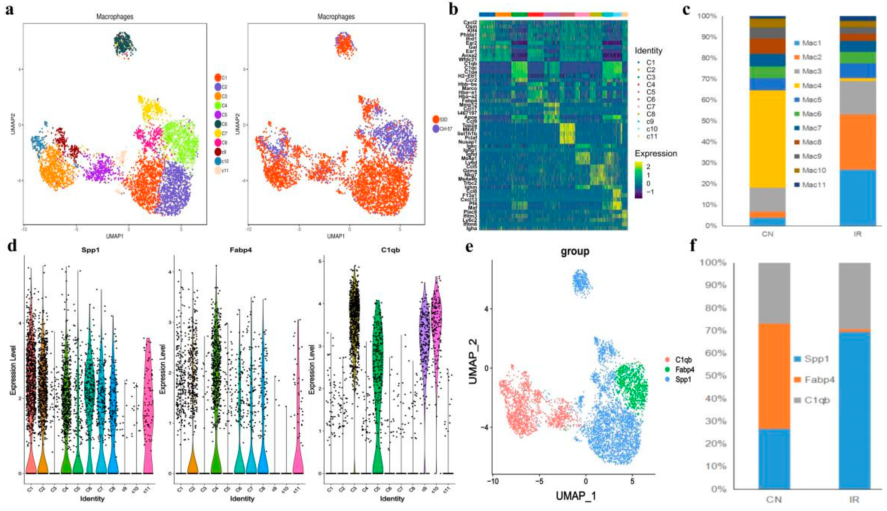 Antioxidants 11 01457 g006