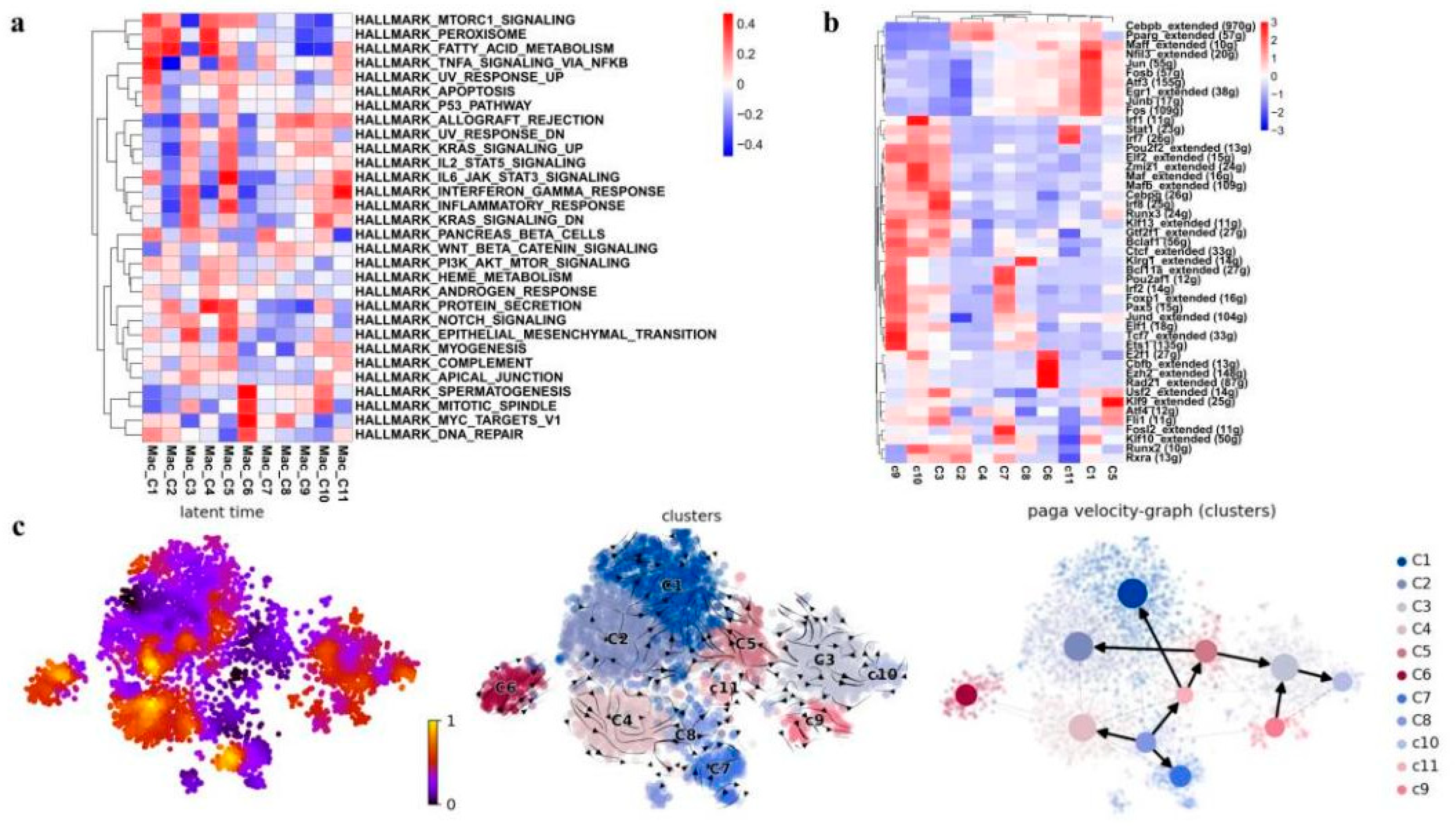 Antioxidants 11 01457 g007
