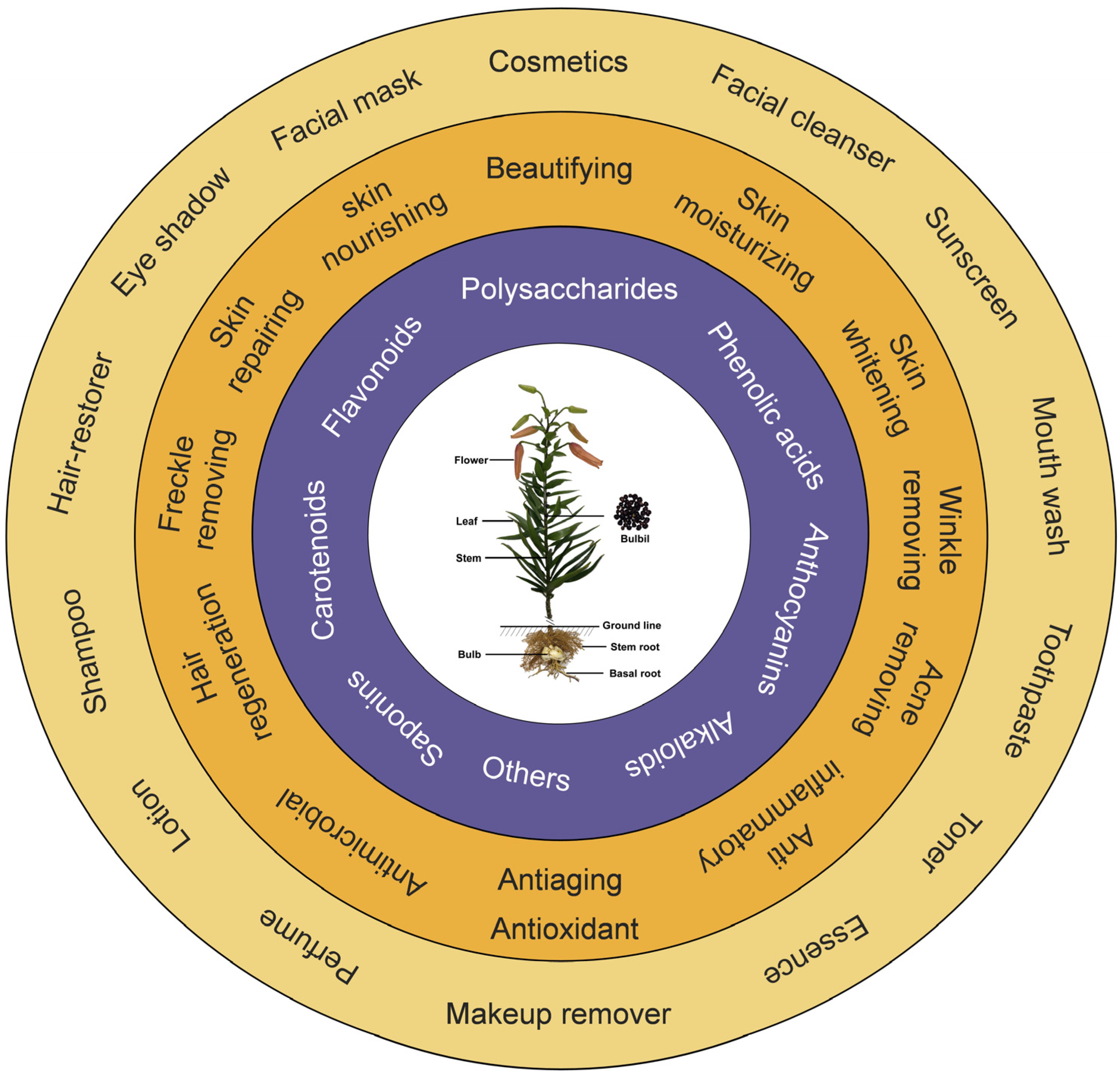 Antioxidants 11 01458 g005