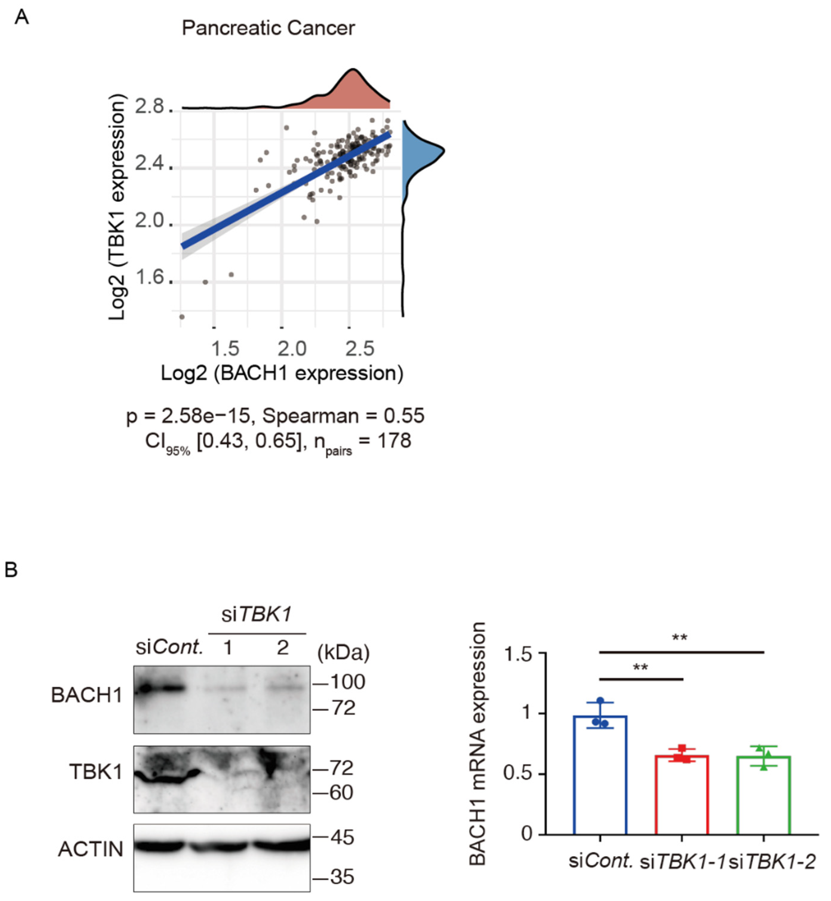 Antioxidants 11 01460 g001
