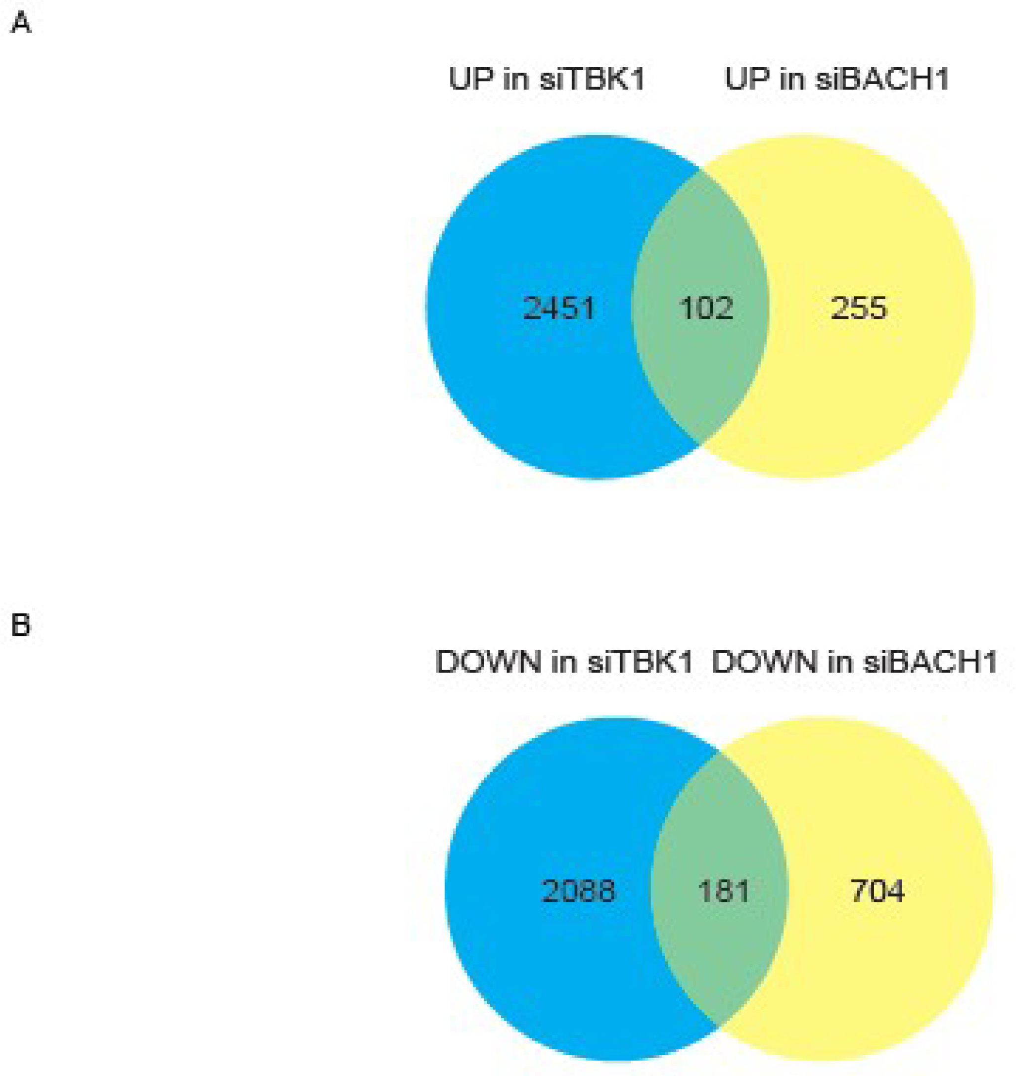 Antioxidants 11 01460 g002a