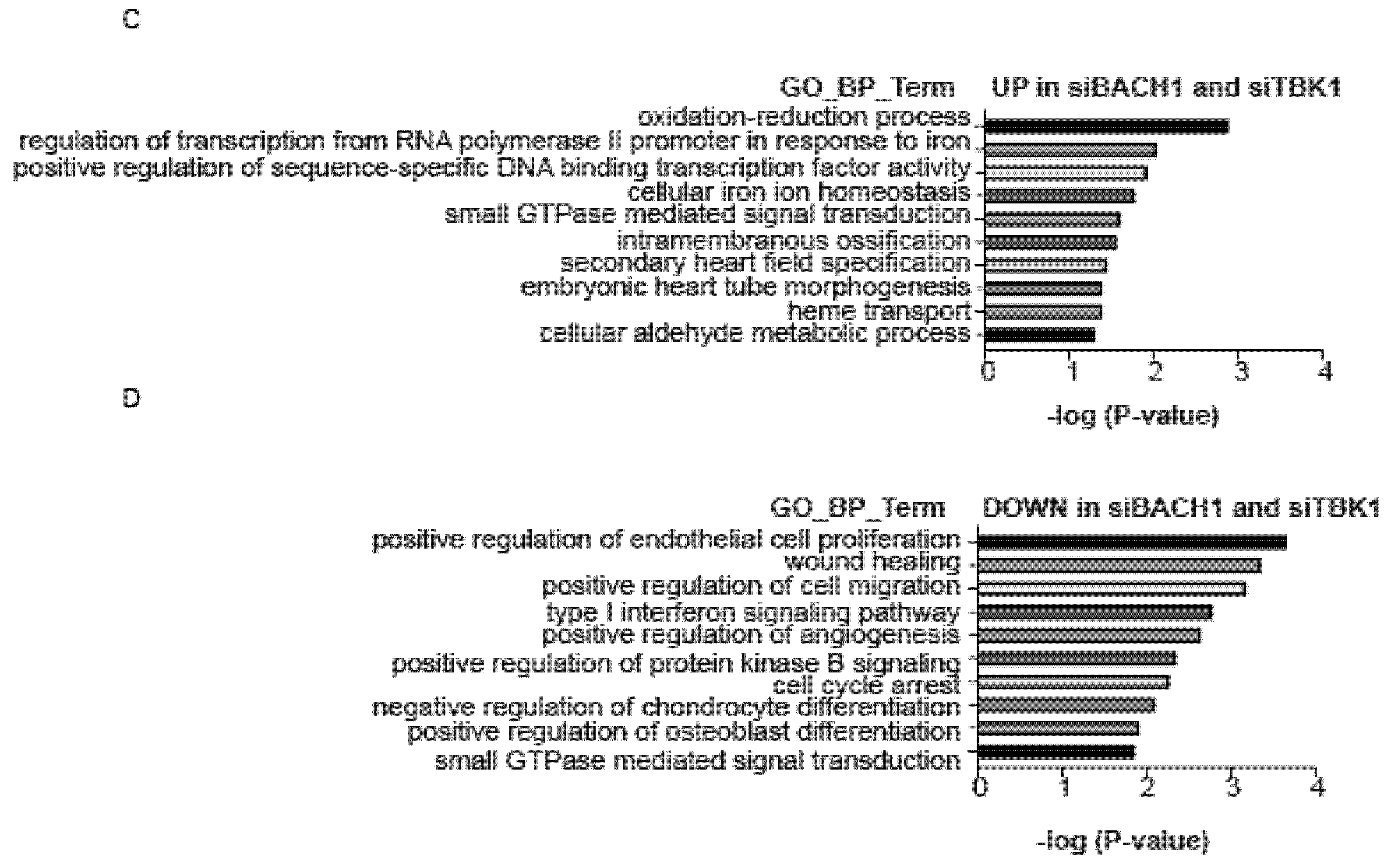 Antioxidants 11 01460 g002b