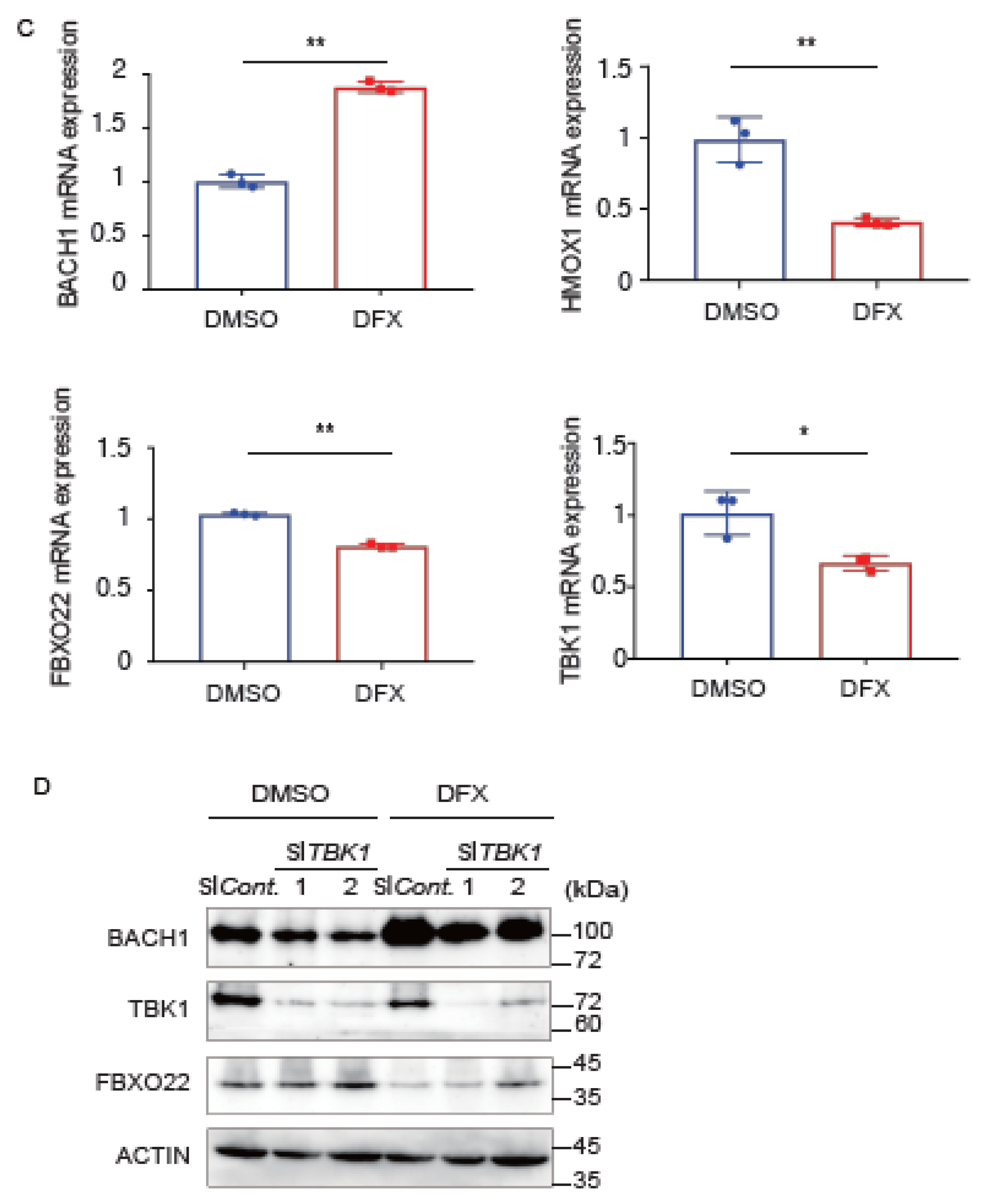 Antioxidants 11 01460 g004b
