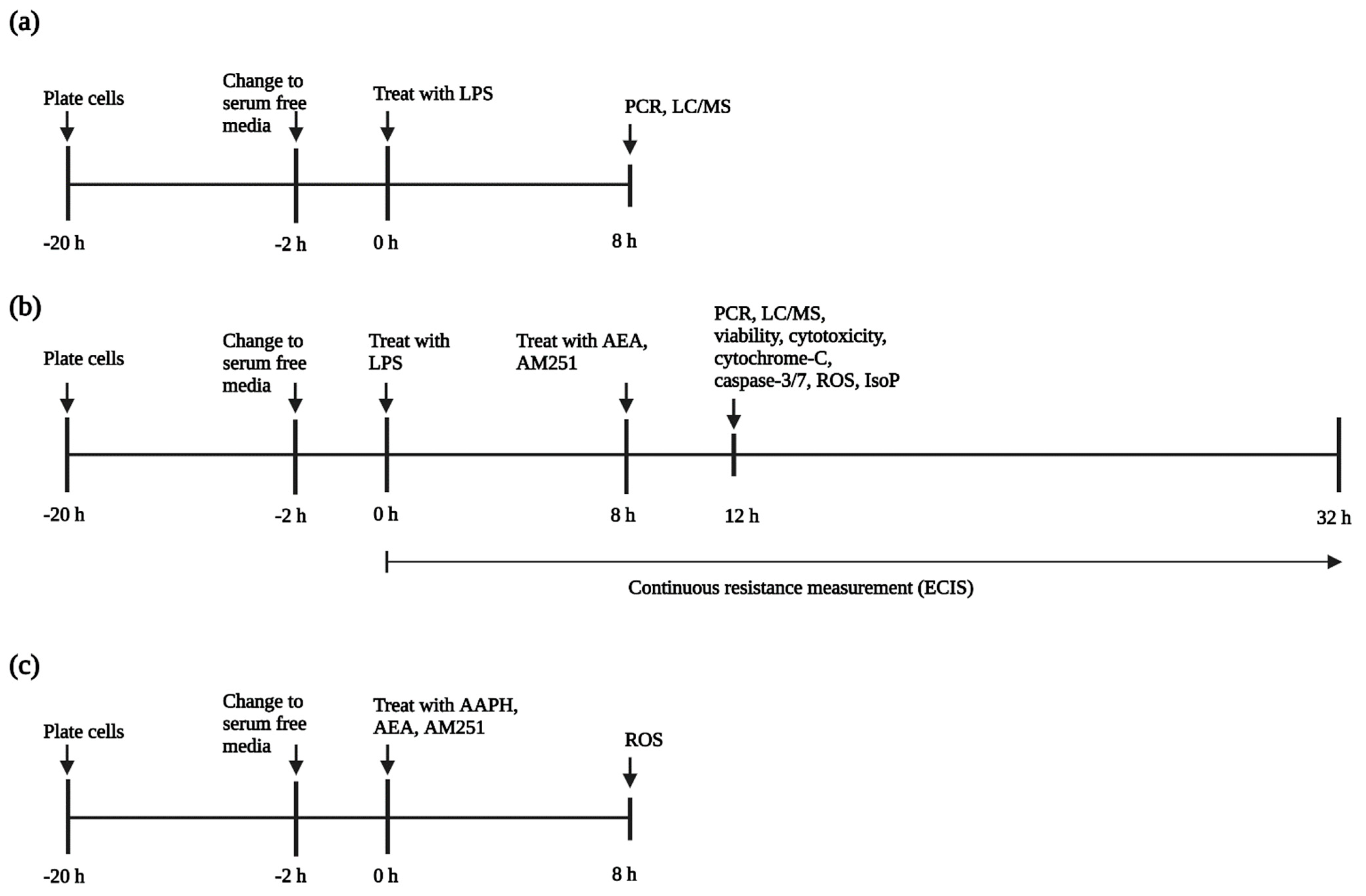 Antioxidants 11 01461 g001