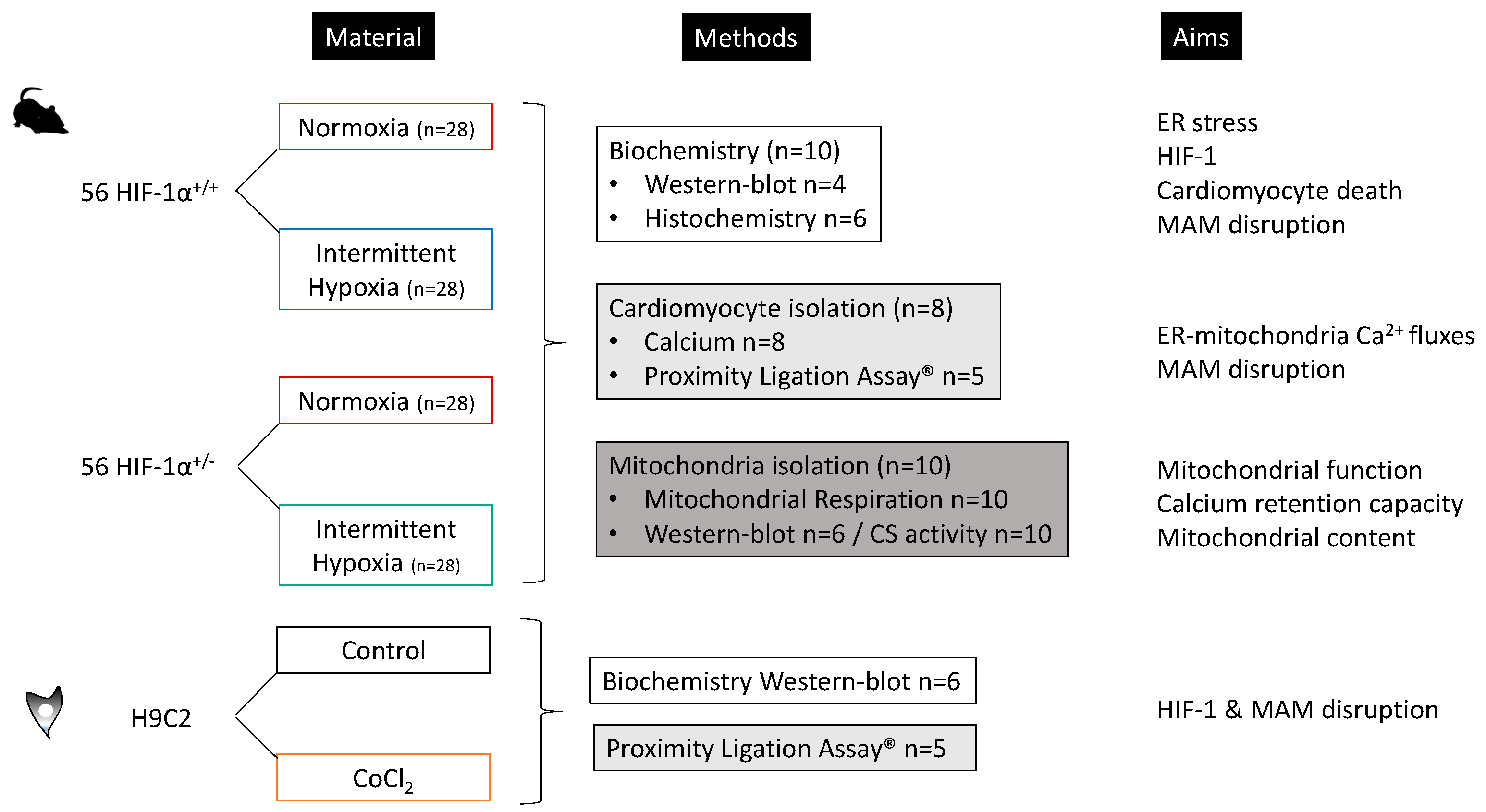 Antioxidants 11 01462 g001