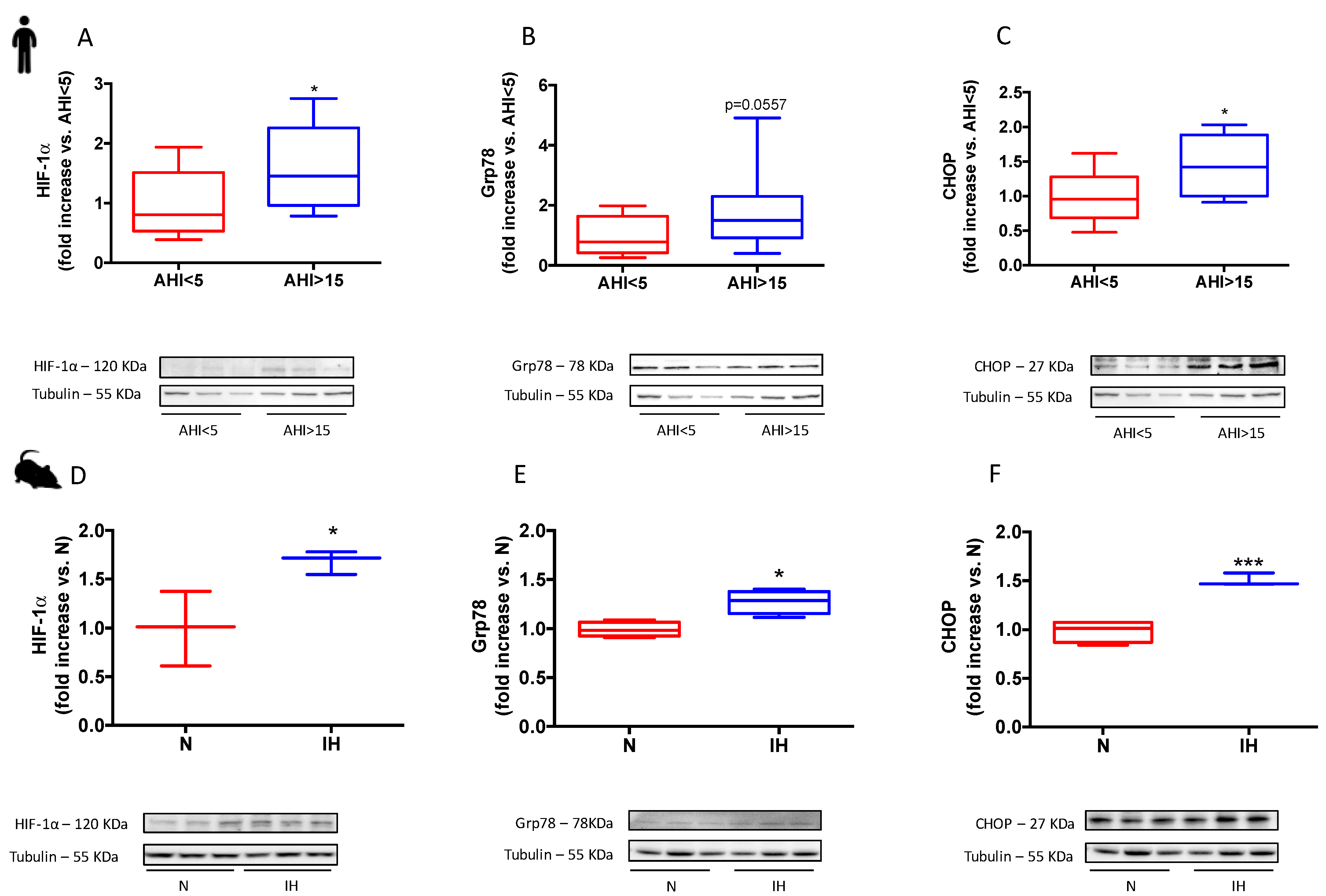 Antioxidants 11 01462 g002