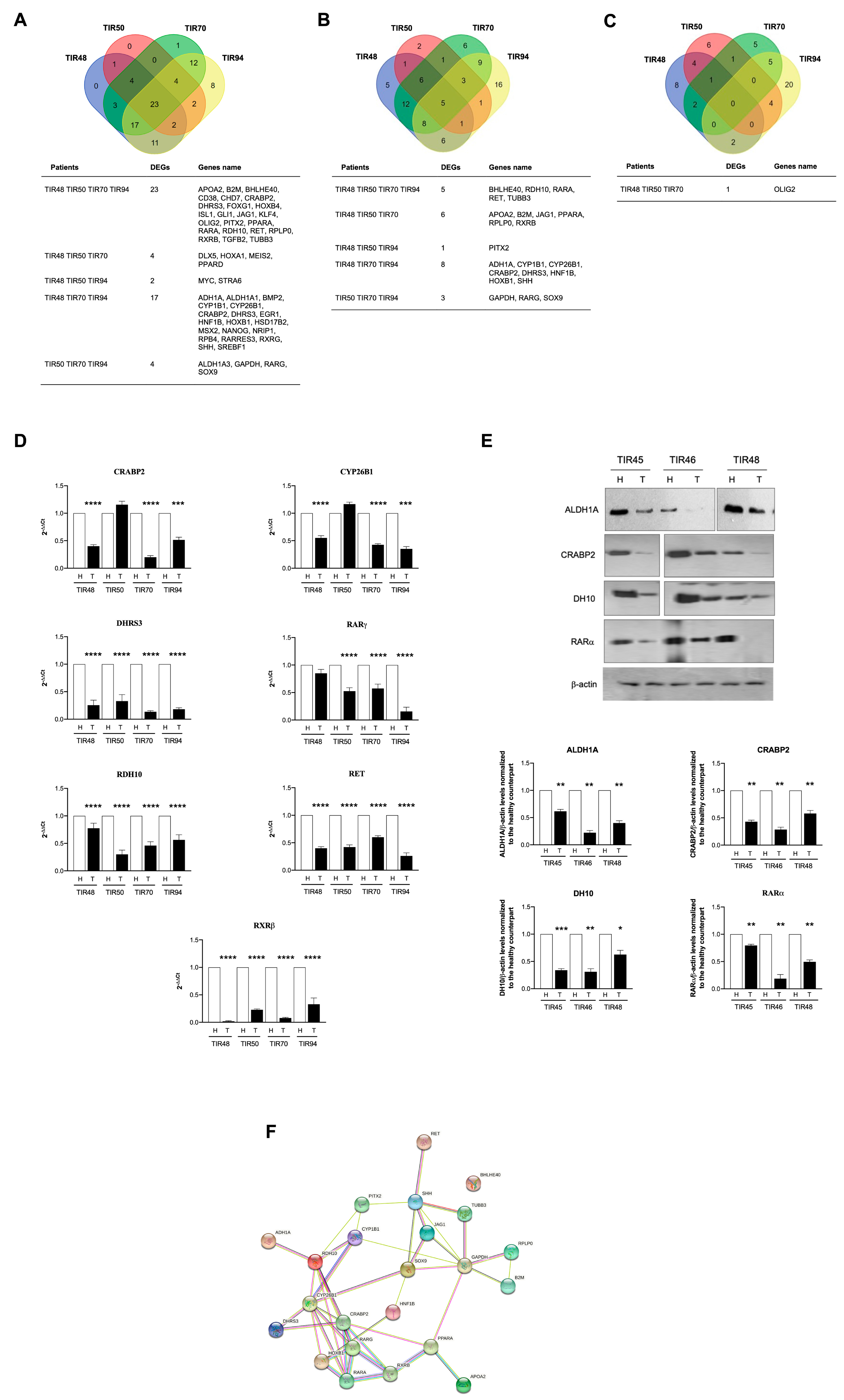 Antioxidants 11 01463 g002