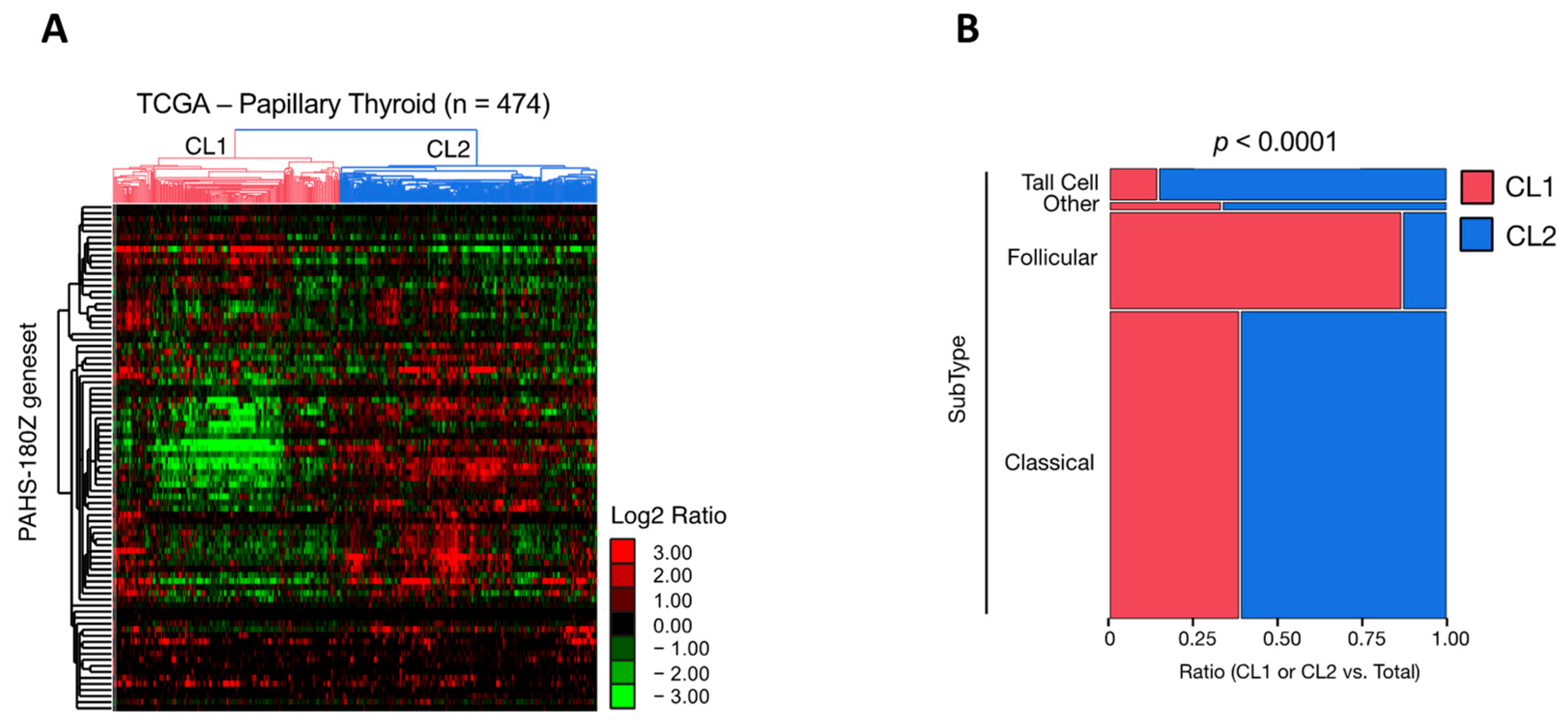 Antioxidants 11 01463 g003