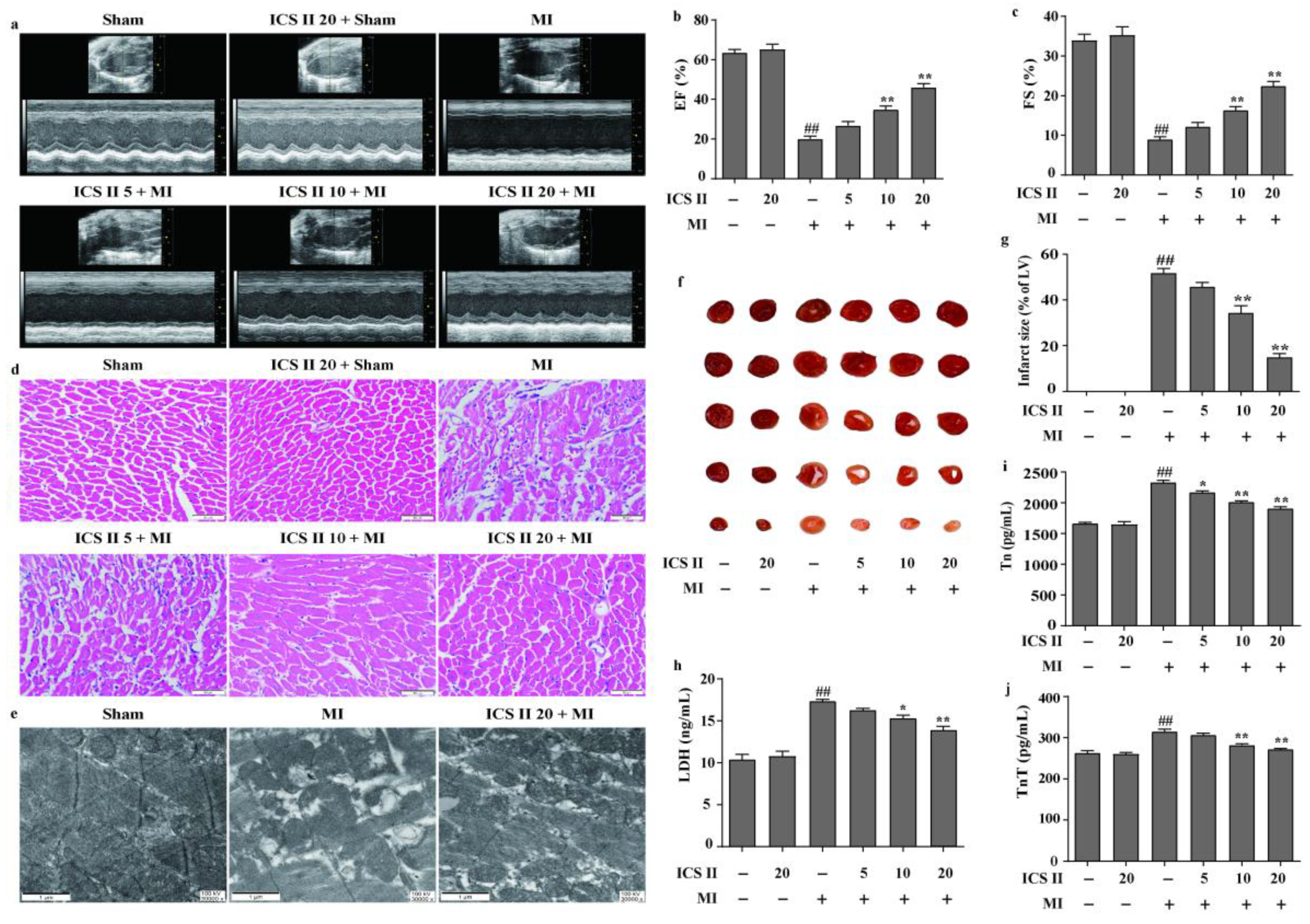 Antioxidants 11 01465 g001