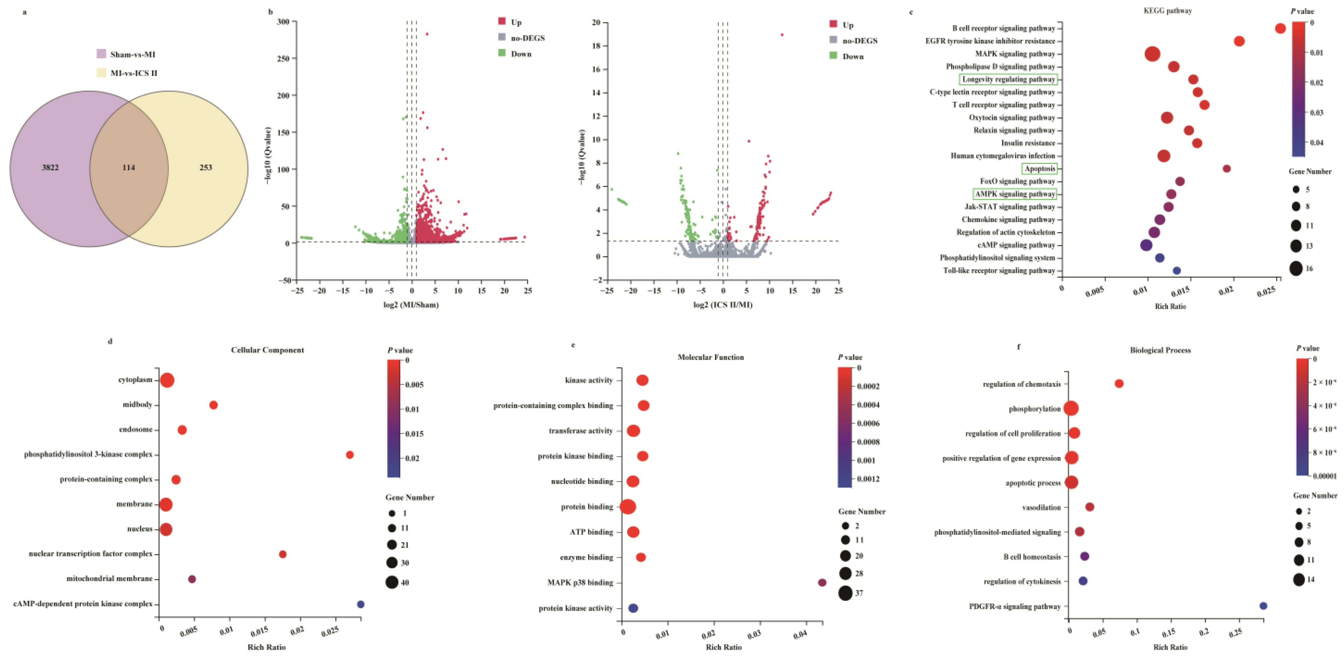 Antioxidants 11 01465 g002