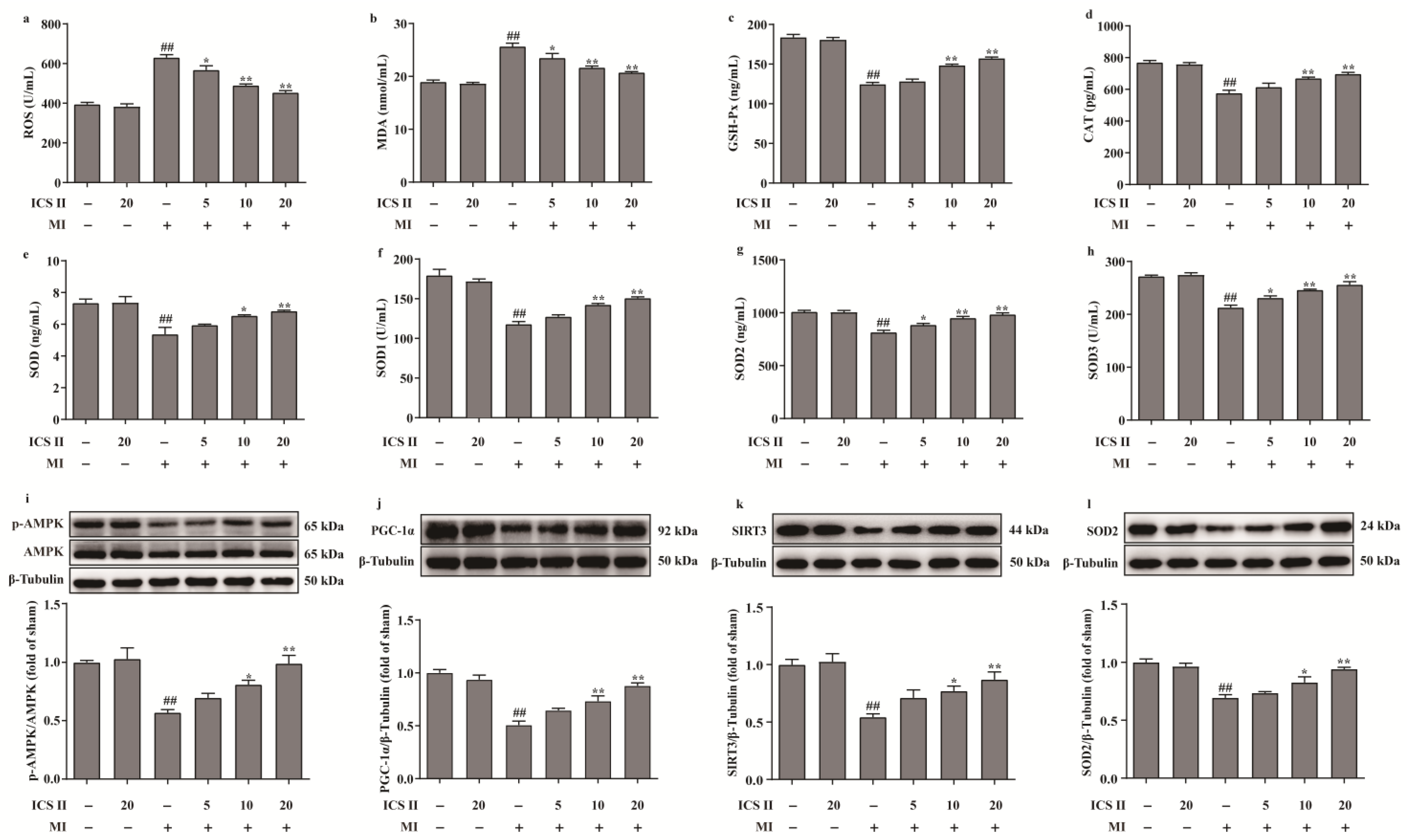 Antioxidants 11 01465 g003