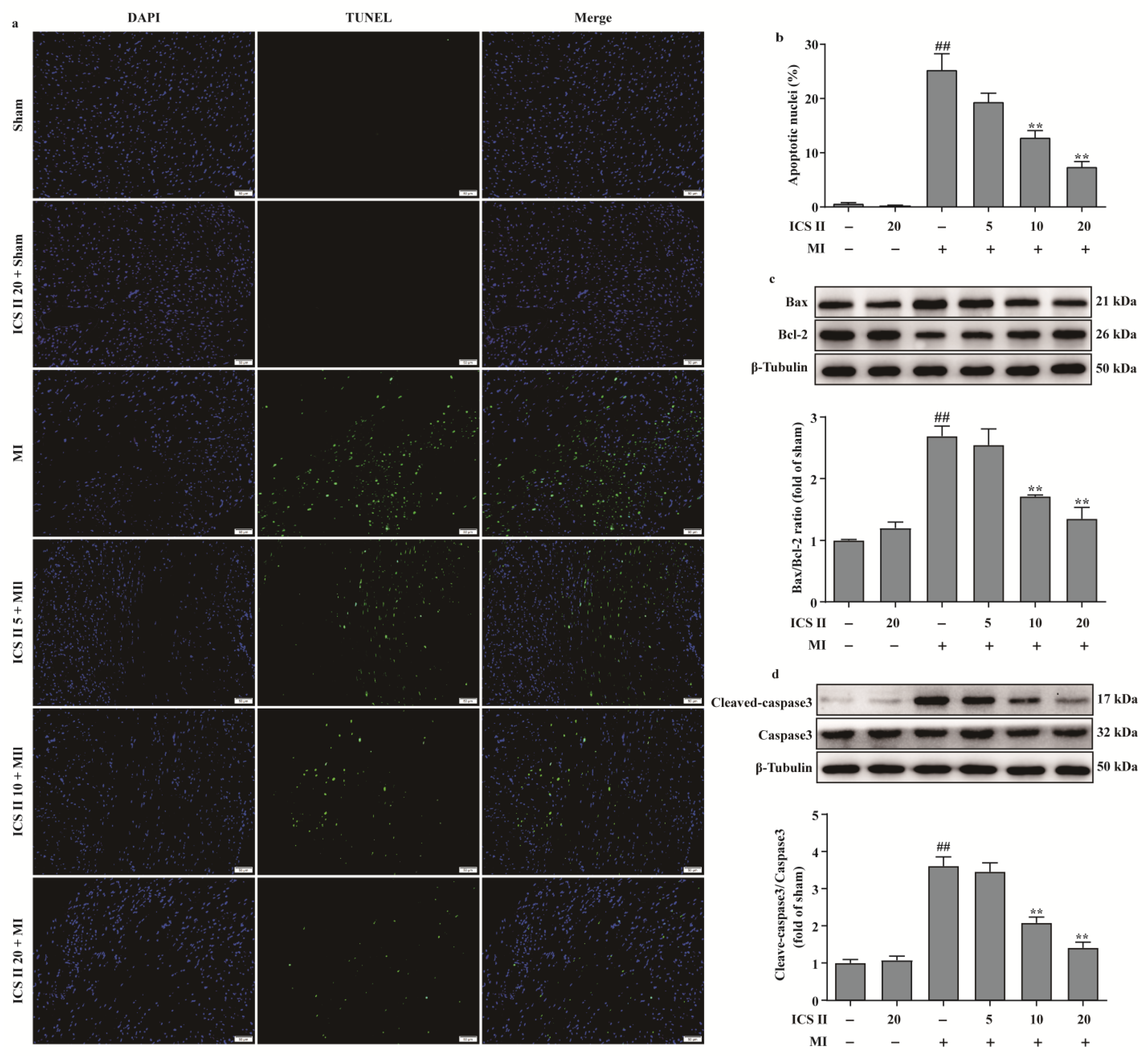 Antioxidants 11 01465 g004