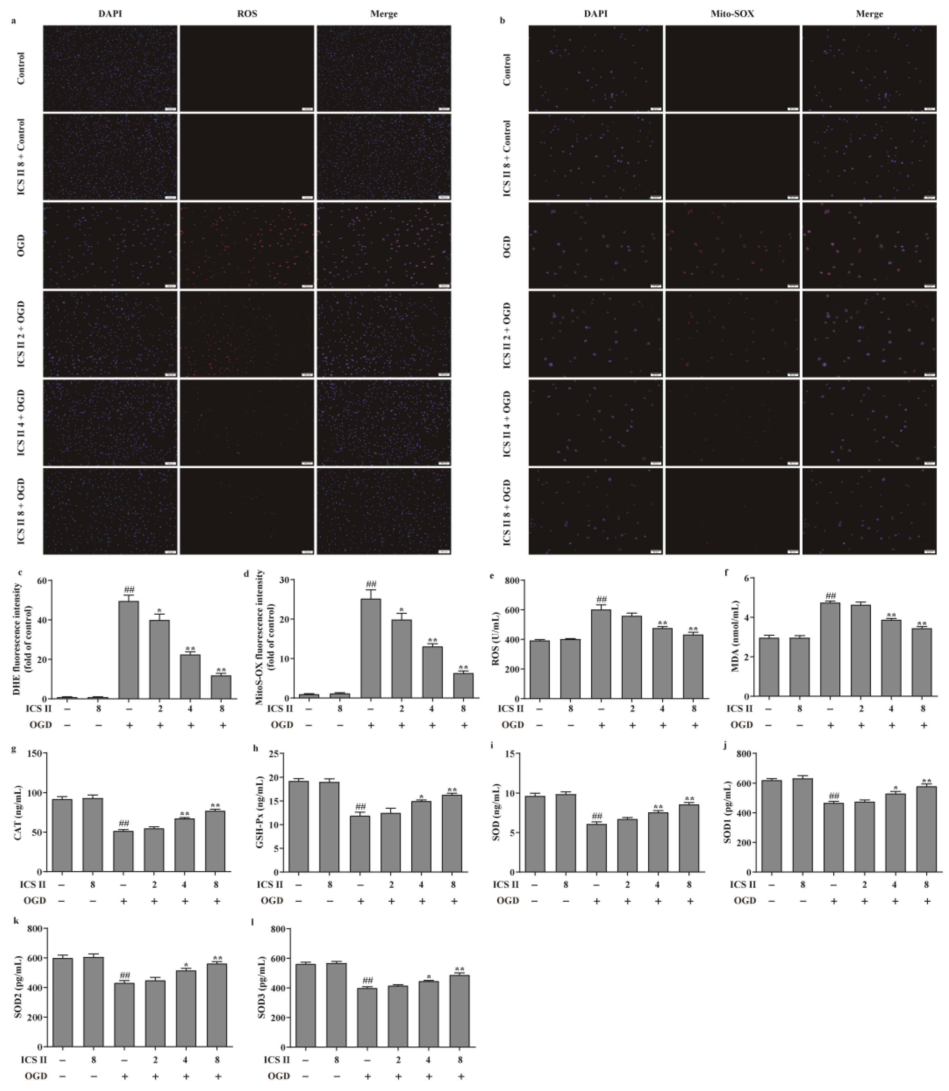 Antioxidants 11 01465 g006
