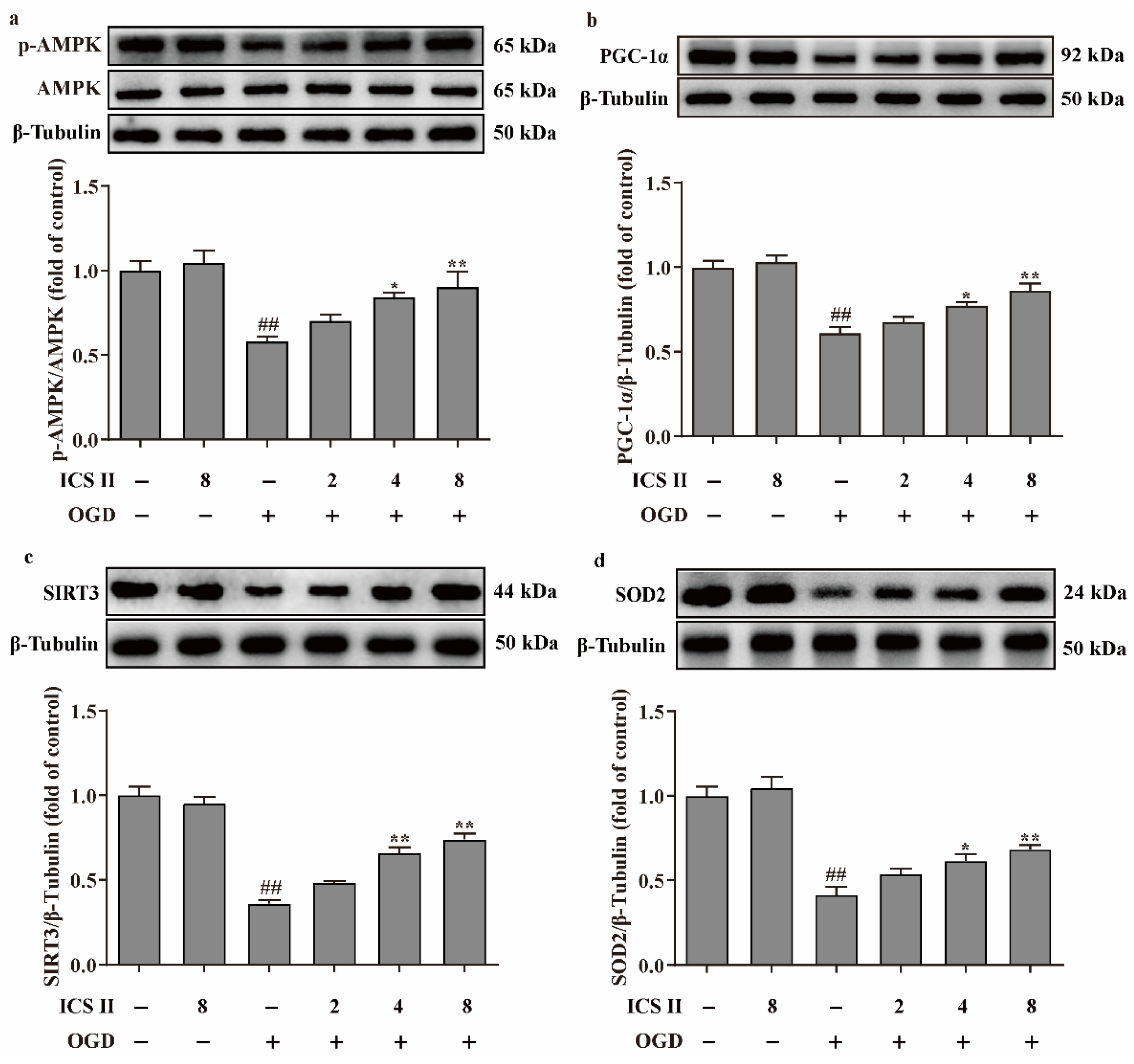 Antioxidants 11 01465 g007