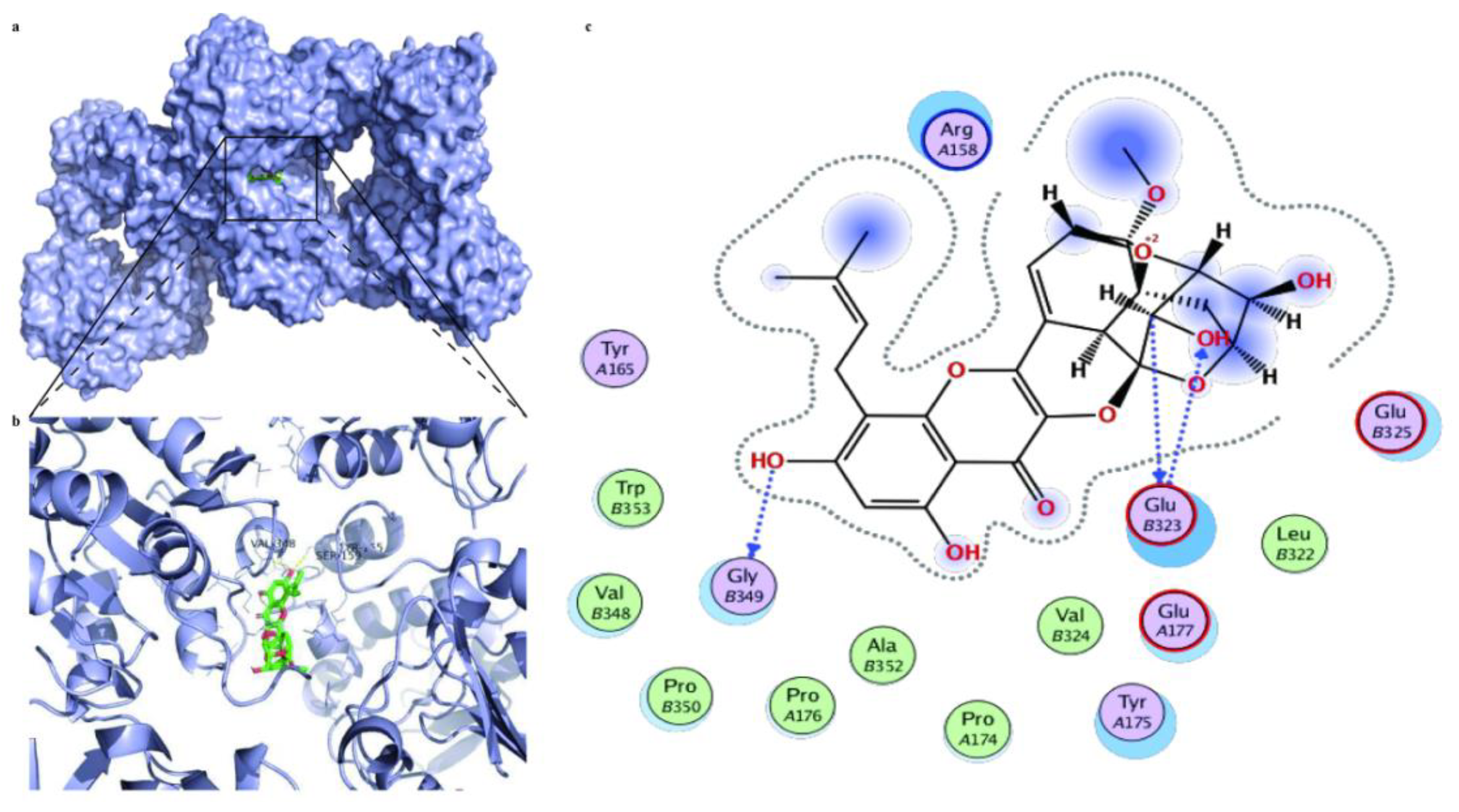 Antioxidants 11 01465 g009