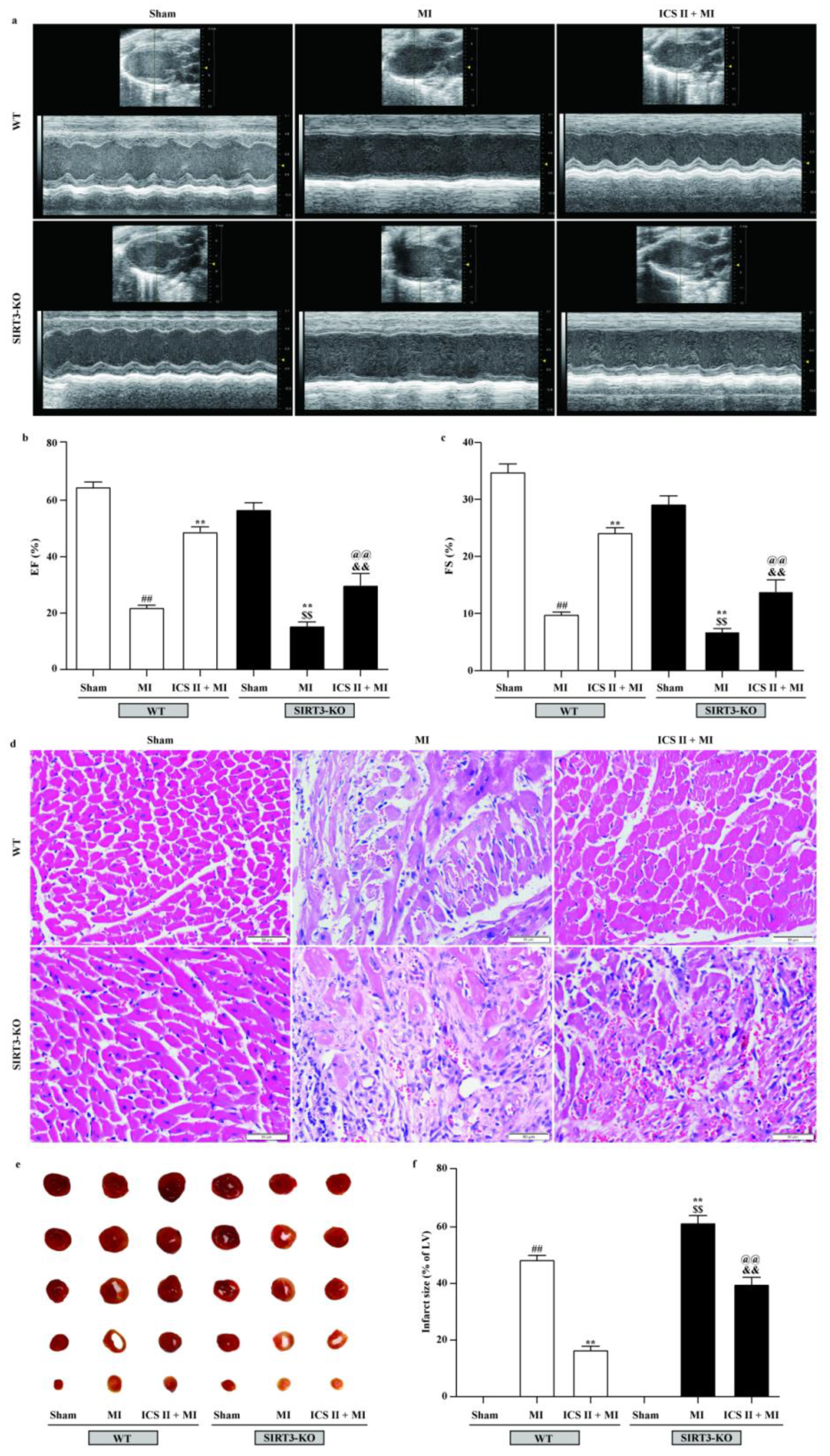 Antioxidants 11 01465 g010
