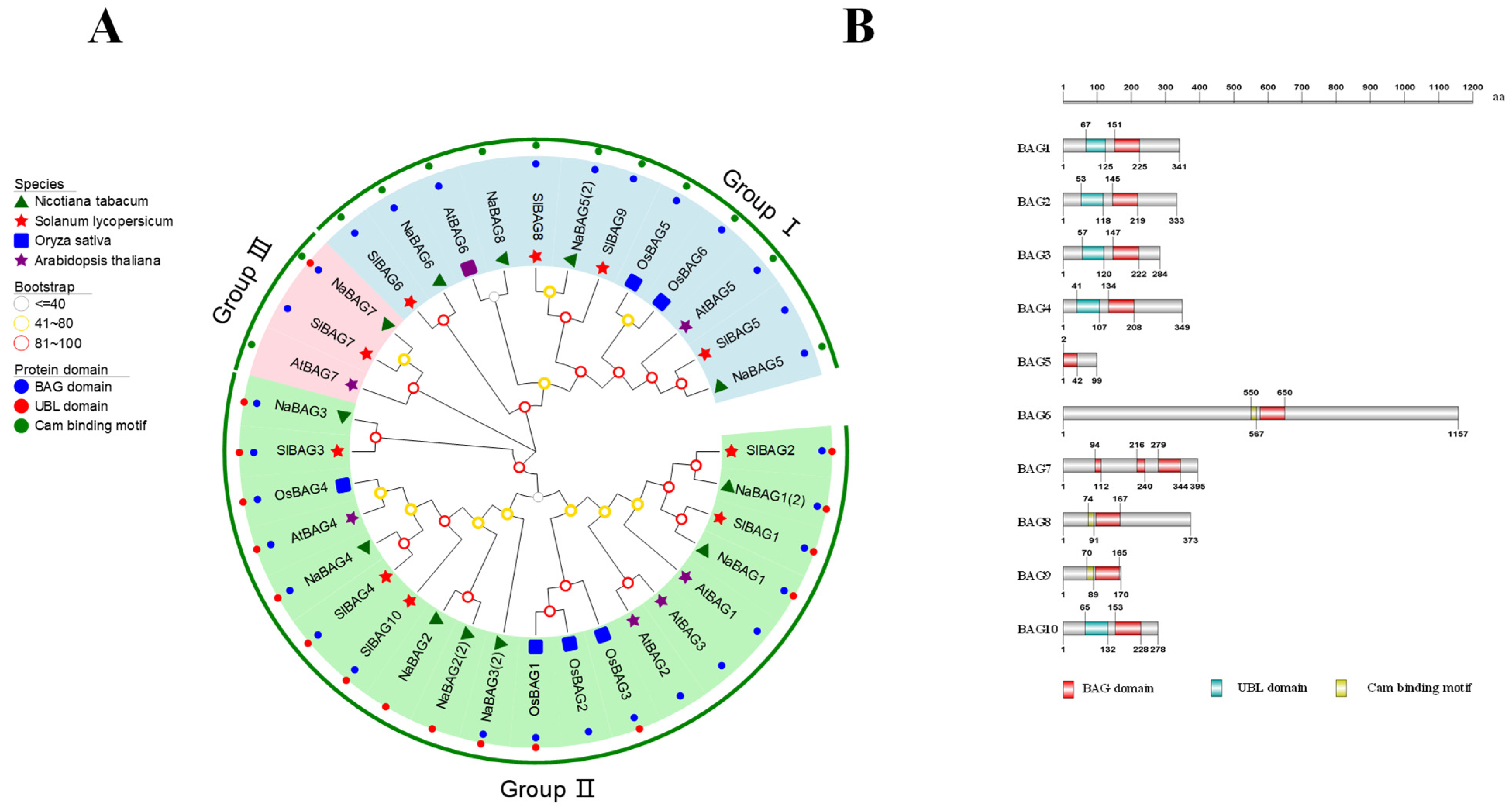Antioxidants 11 01467 g001